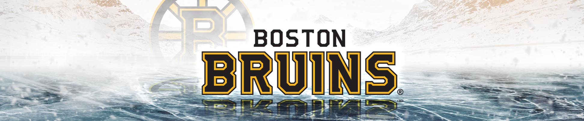 Boston Bruins