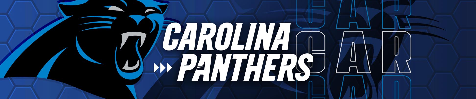 Carolina Panthers Memorabilia & Collectibles