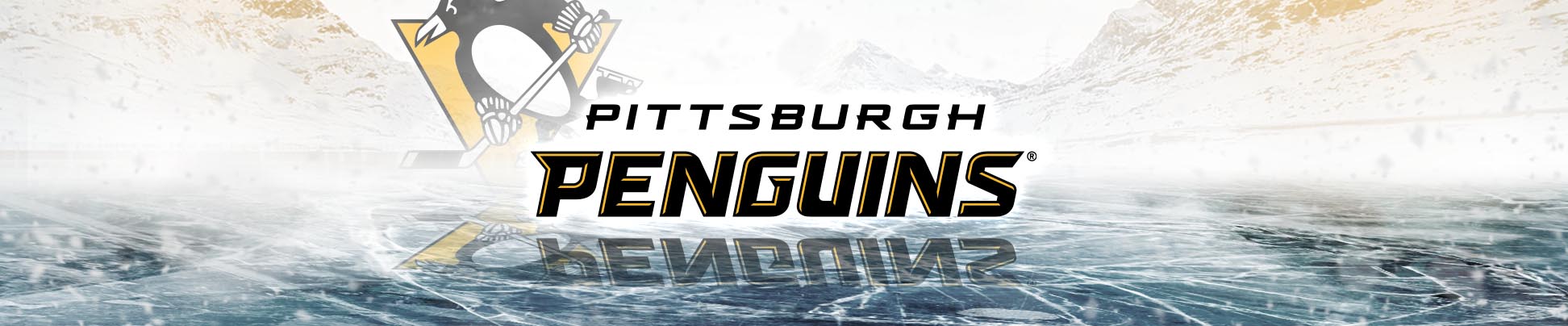 Pittsburgh Penguins