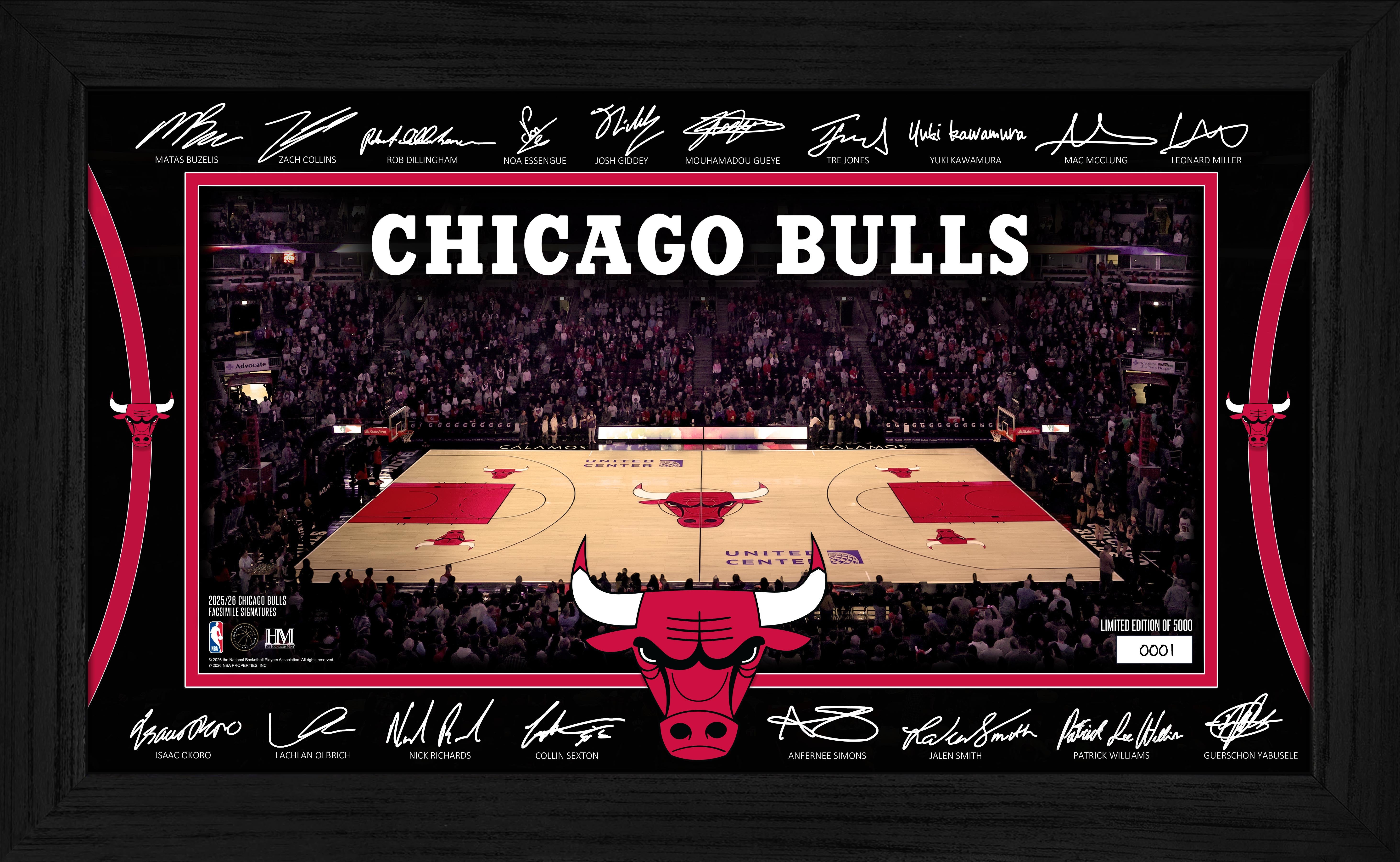 Chicago Bulls 2025 Signature Court – The Highland Mint