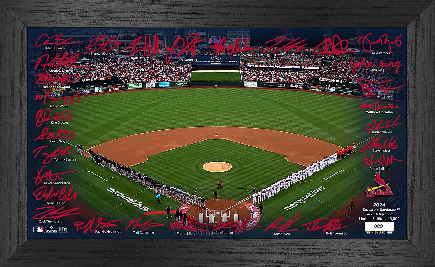 St. Louis Cardinals 2024 Signature Field