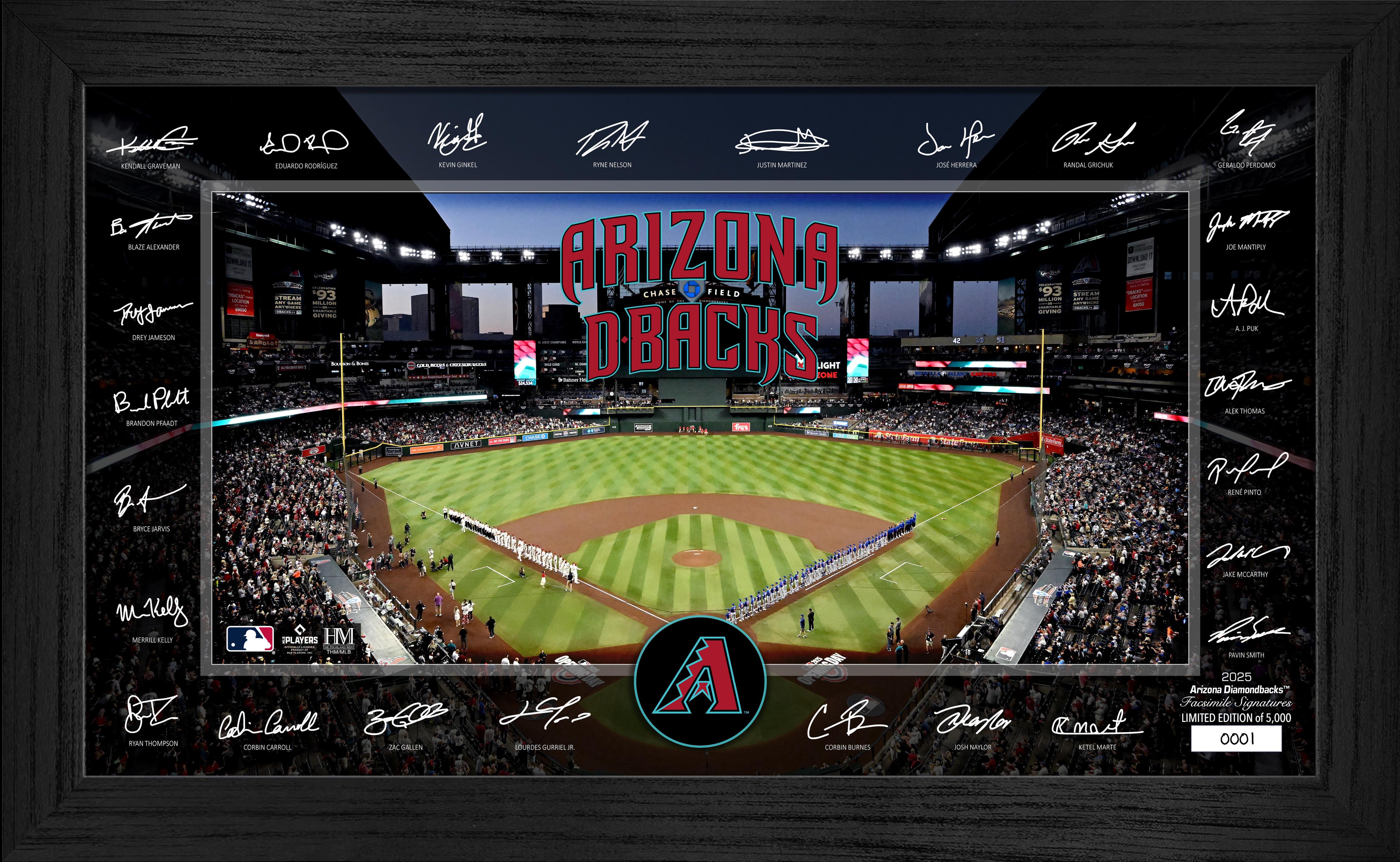 Arizona Diamondbacks 2025 Signature Field Frame