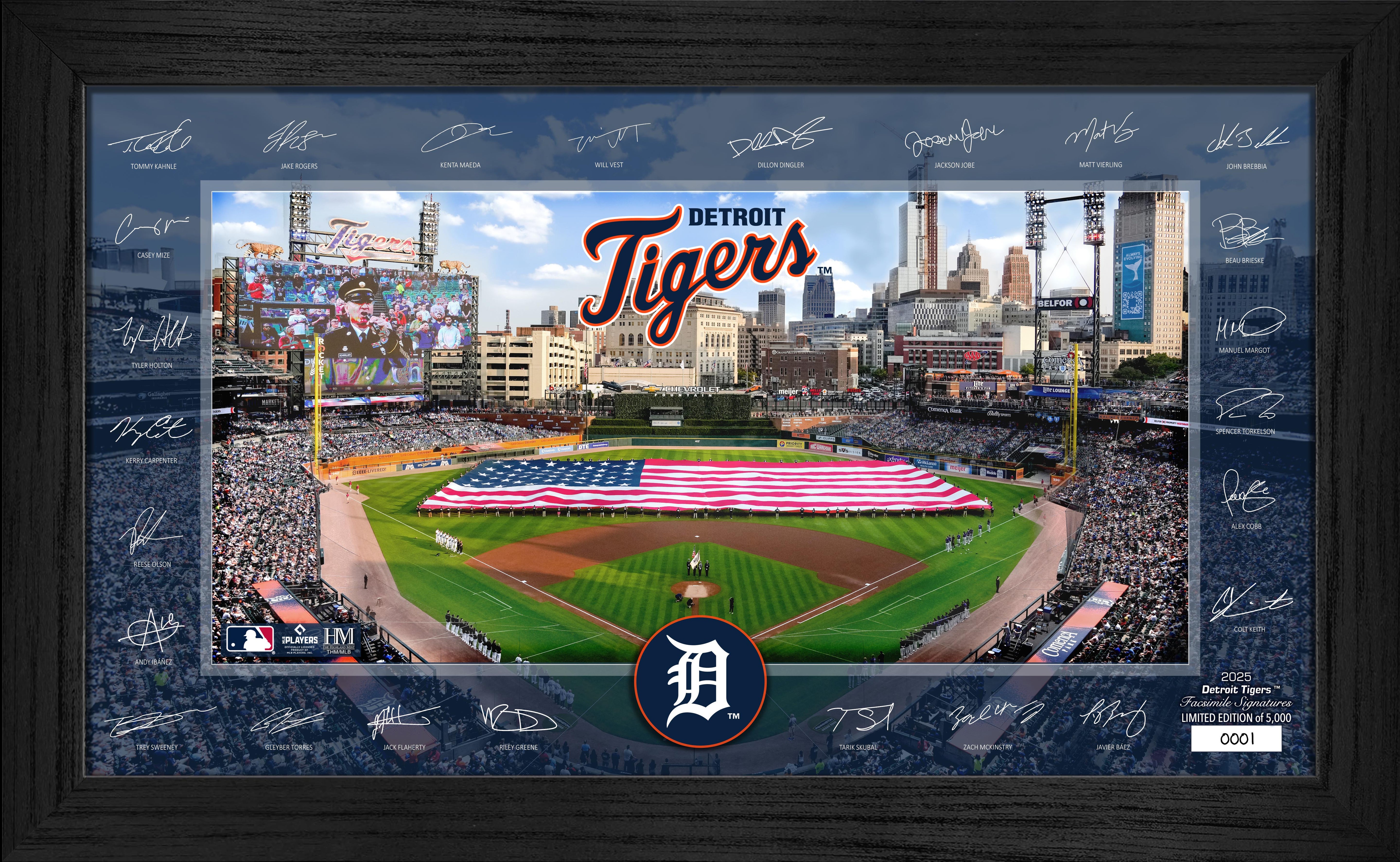 Detroit Tigers 2025 Signature Field Frame