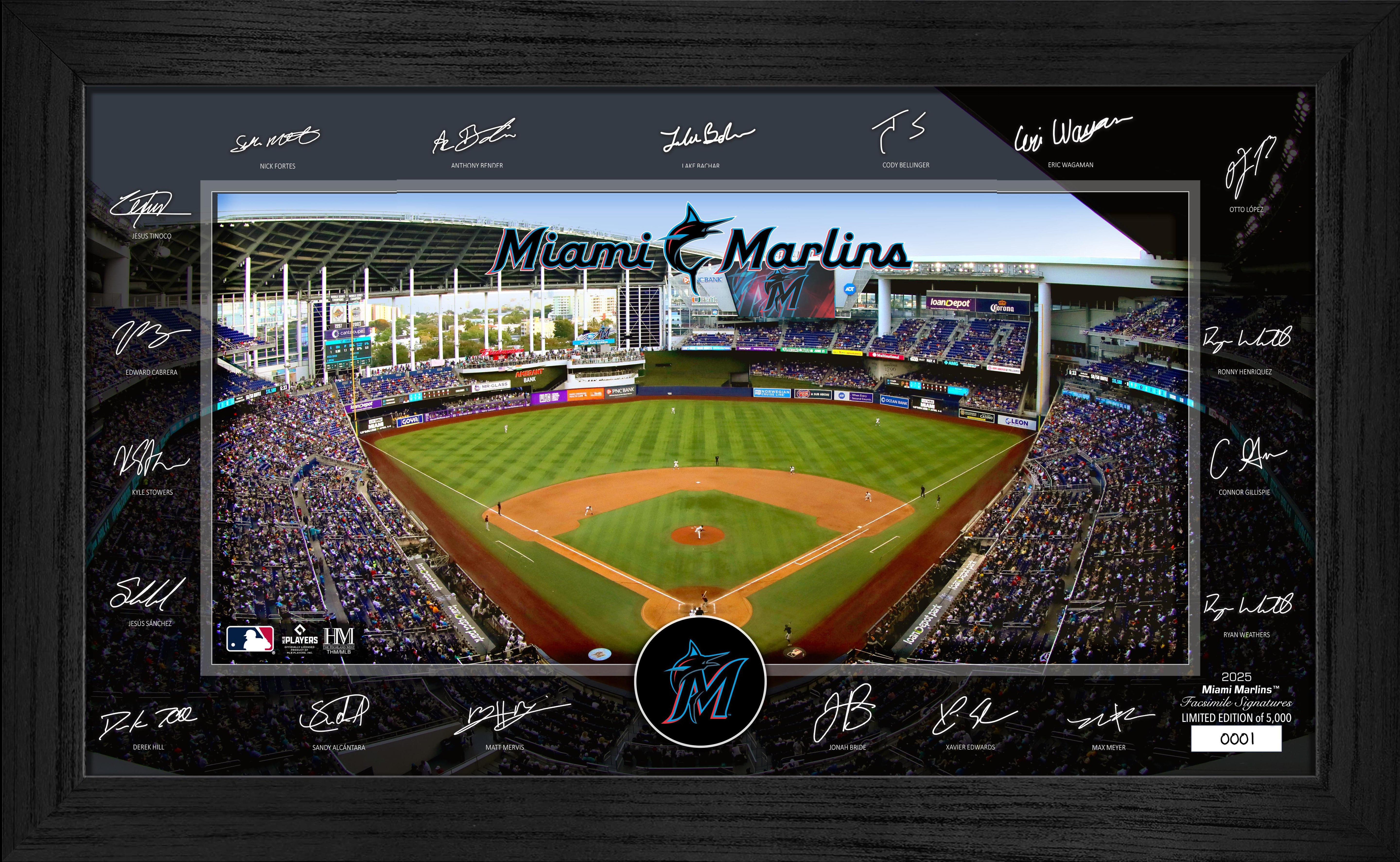 Miami Marlins 2025 Signature Field Frame