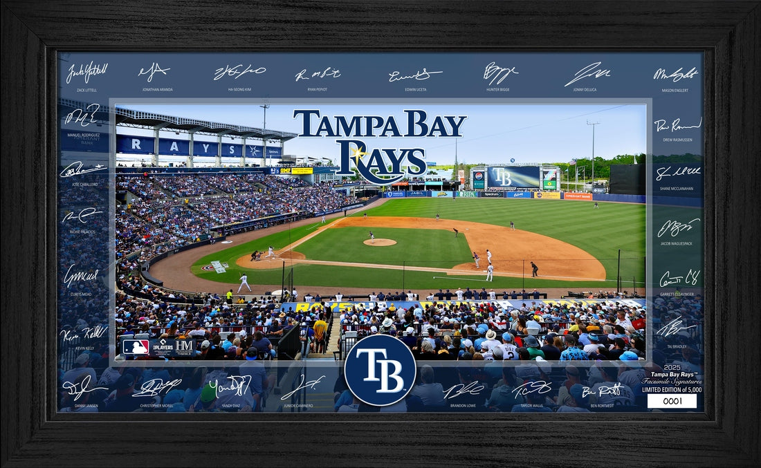 Tampa Bay Rays 2025 Signature Field Frame