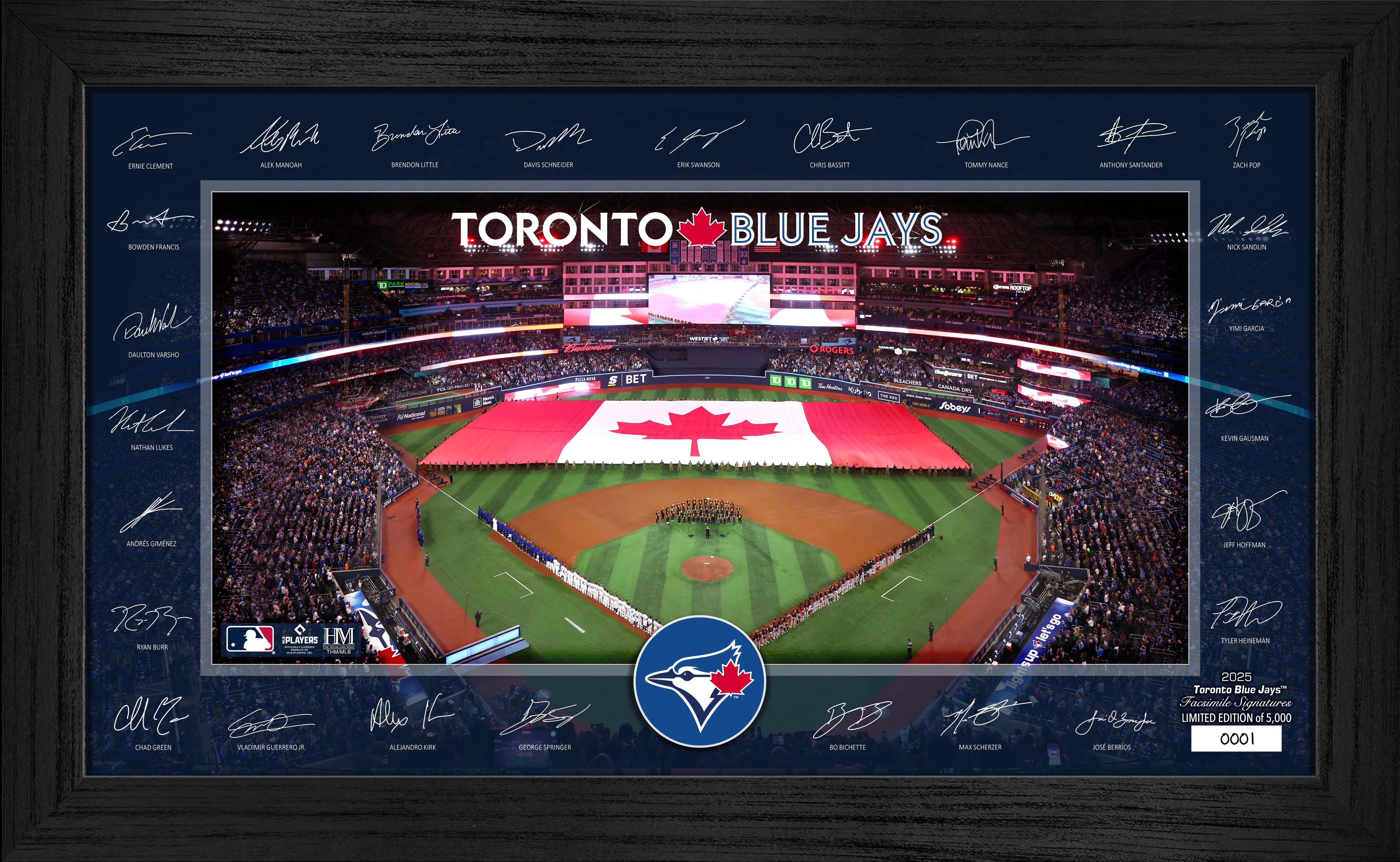 Toronto Blue Jays 2025 Signature Field Frame