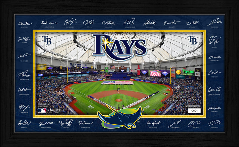 Tampa Bay Rays 2026 Signature Field Frame