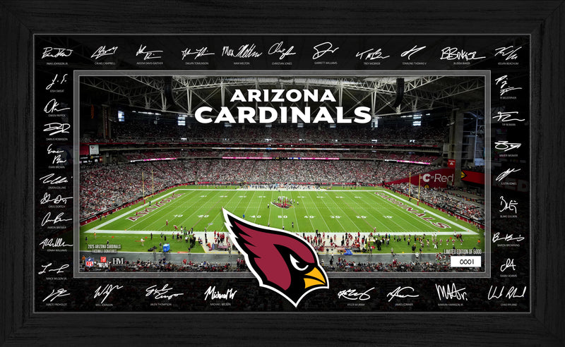 Arizona Cardinals 2025 NFL Signature Gridiron