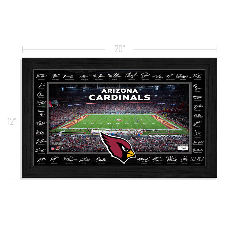 Arizona Cardinals 2025 NFL Signature Gridiron