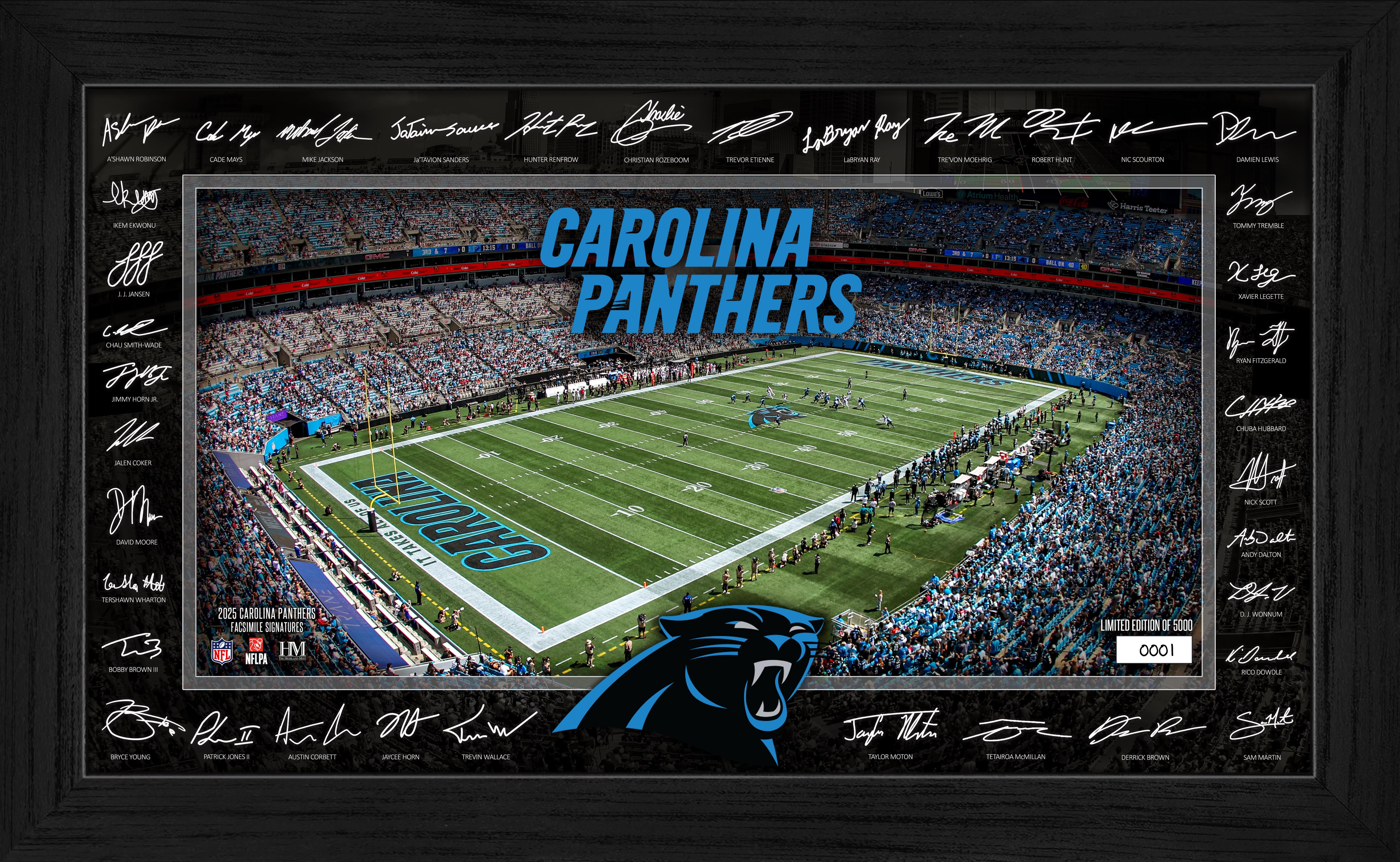 Carolina Panthers 2025 NFL Signature Gridiron