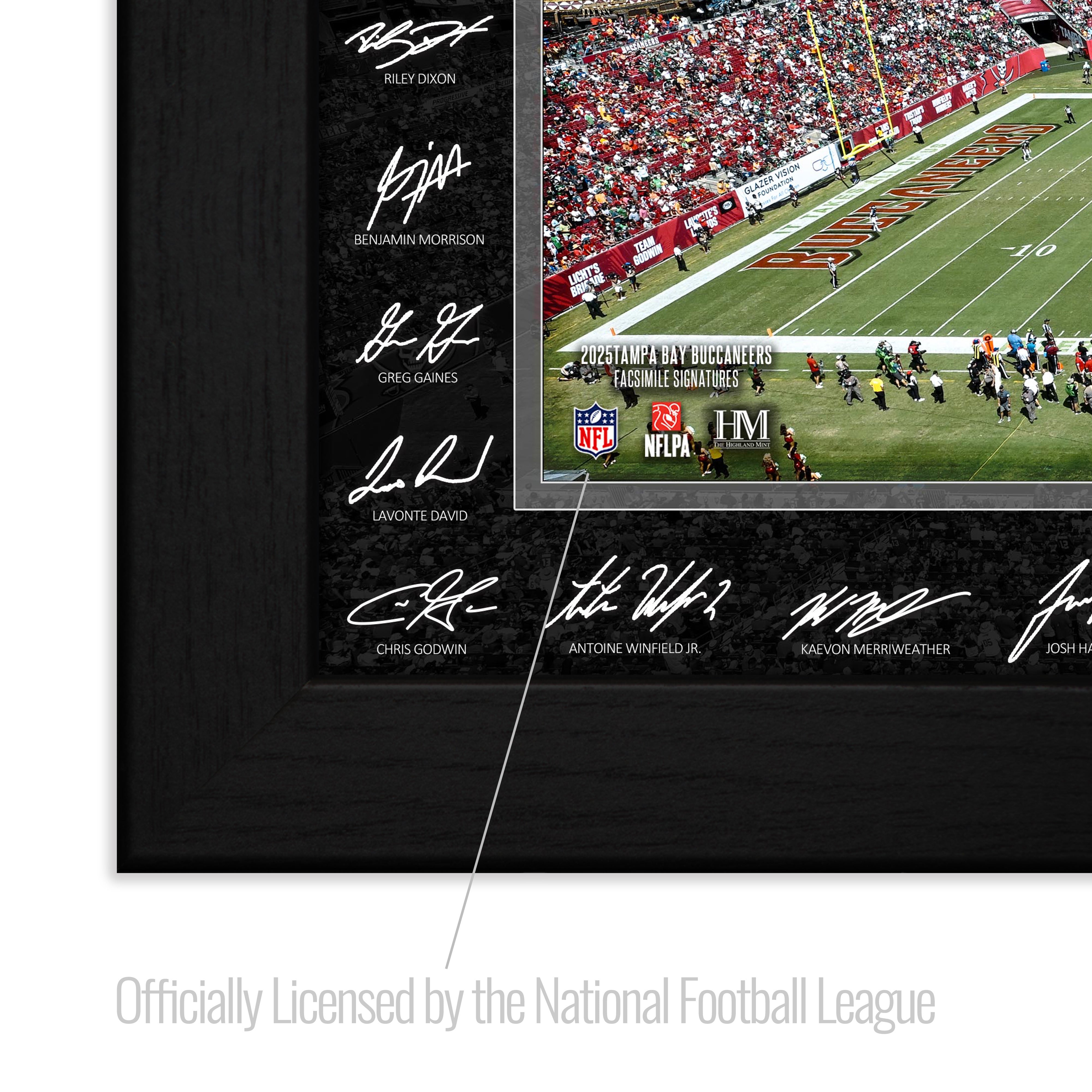 Tampa Bay Buccaneers 2025 NFL Signature Gridiron
