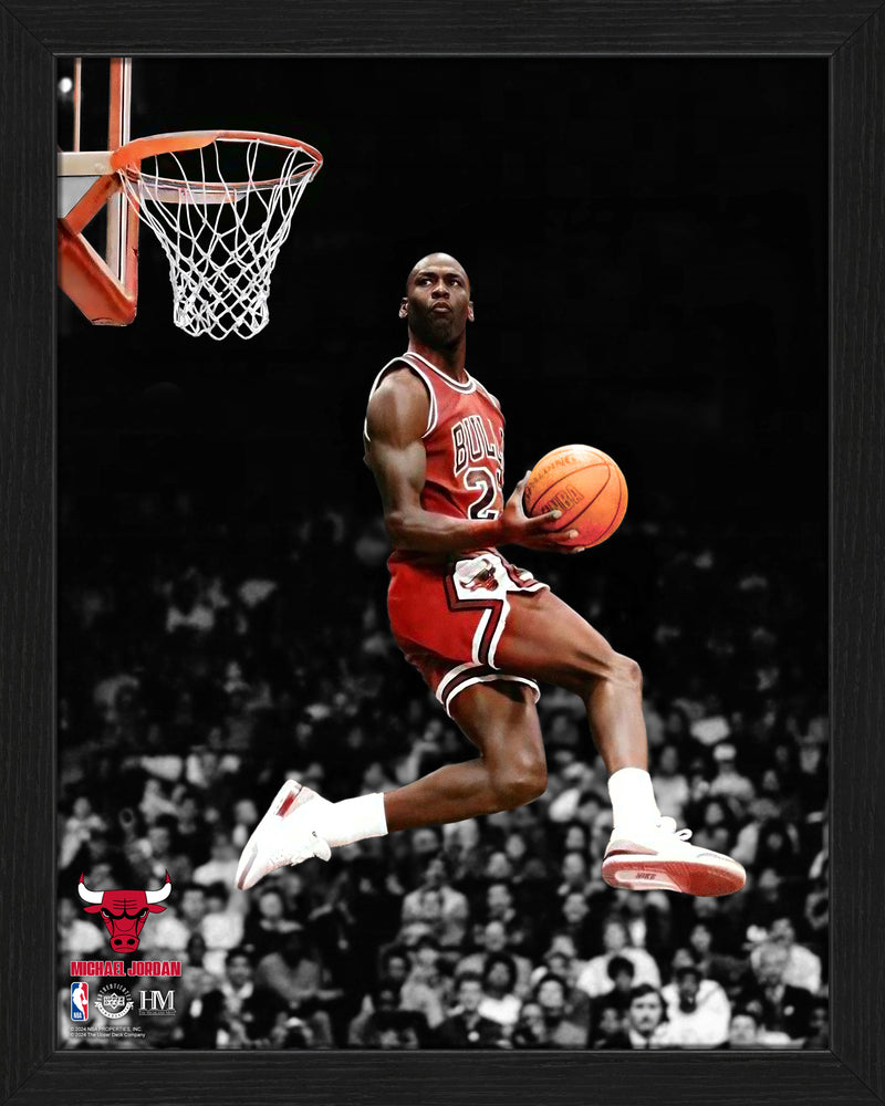 Michael Jordan Legacy Collectible Frame