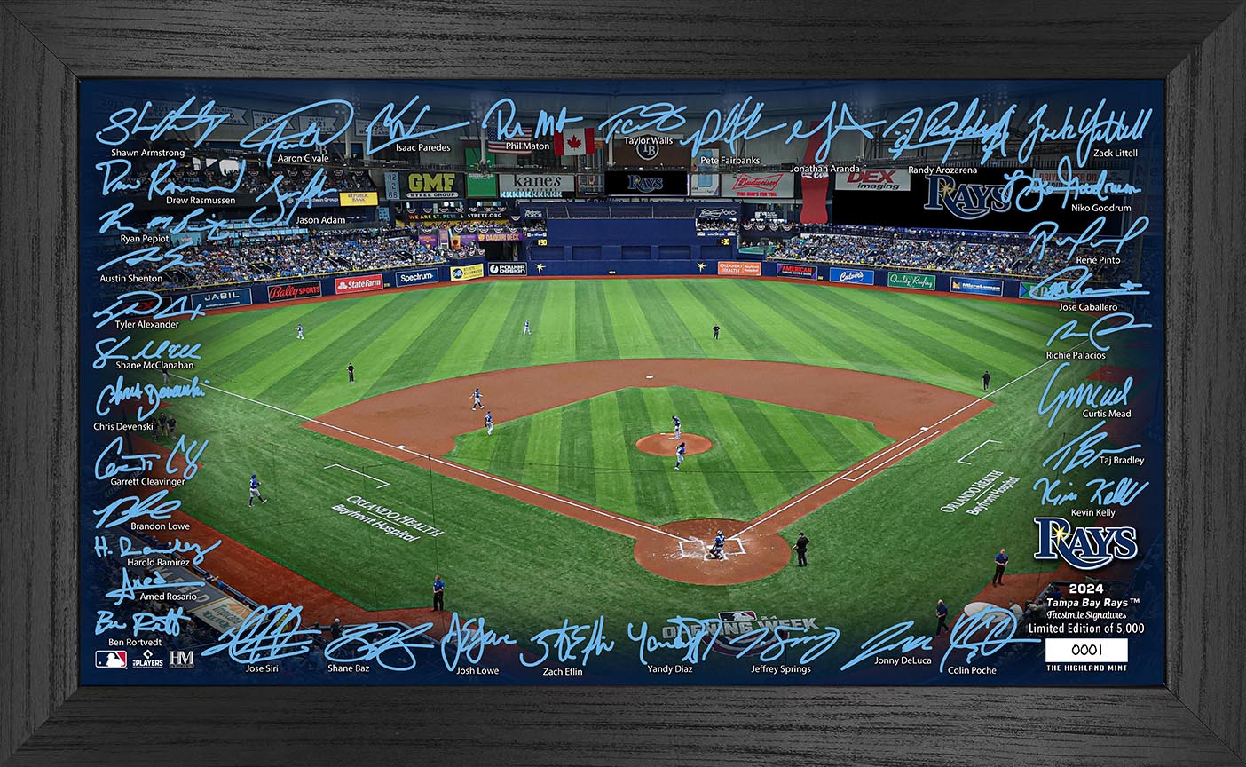 Tampa Bay Rays 2024 Signature Field