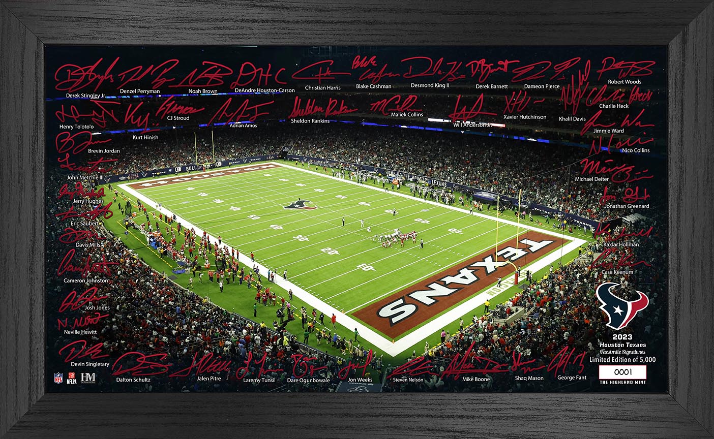Houston Texans 2023 NFL Signature Gridiron