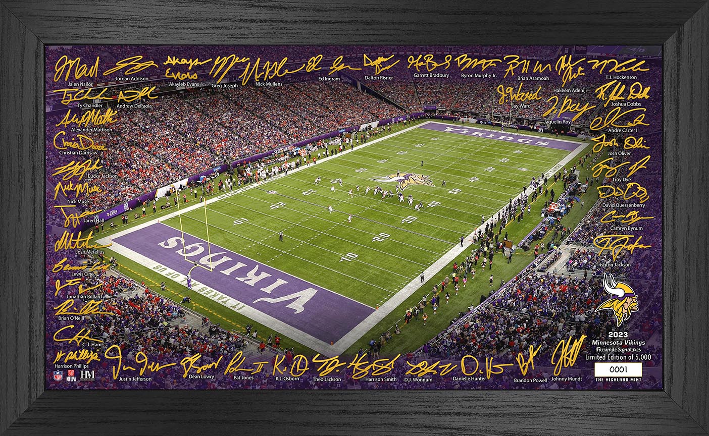 Minnesota Vikings 2023 NFL Signature Gridiron
