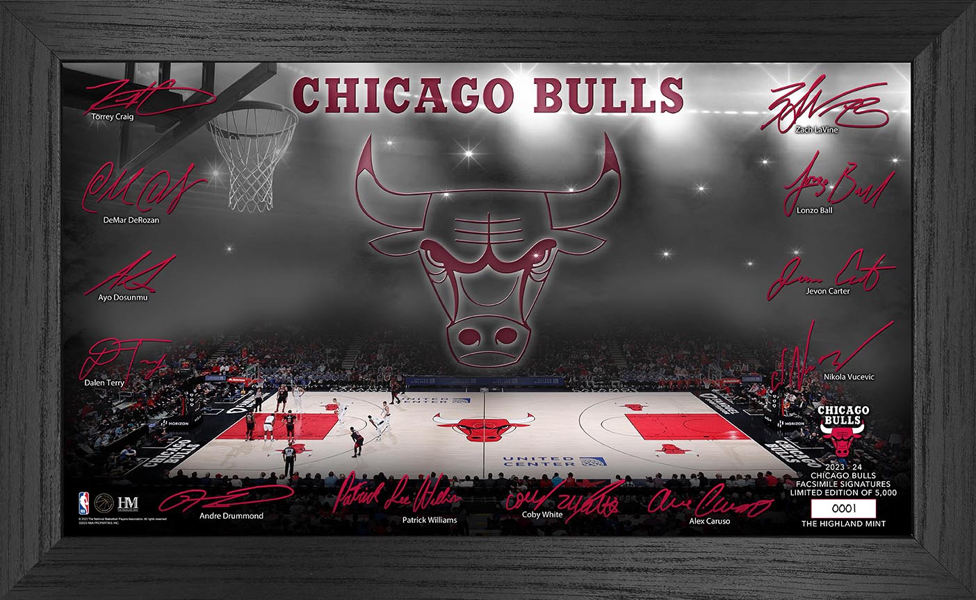 Chicago Bulls 2023-24 Signature Court