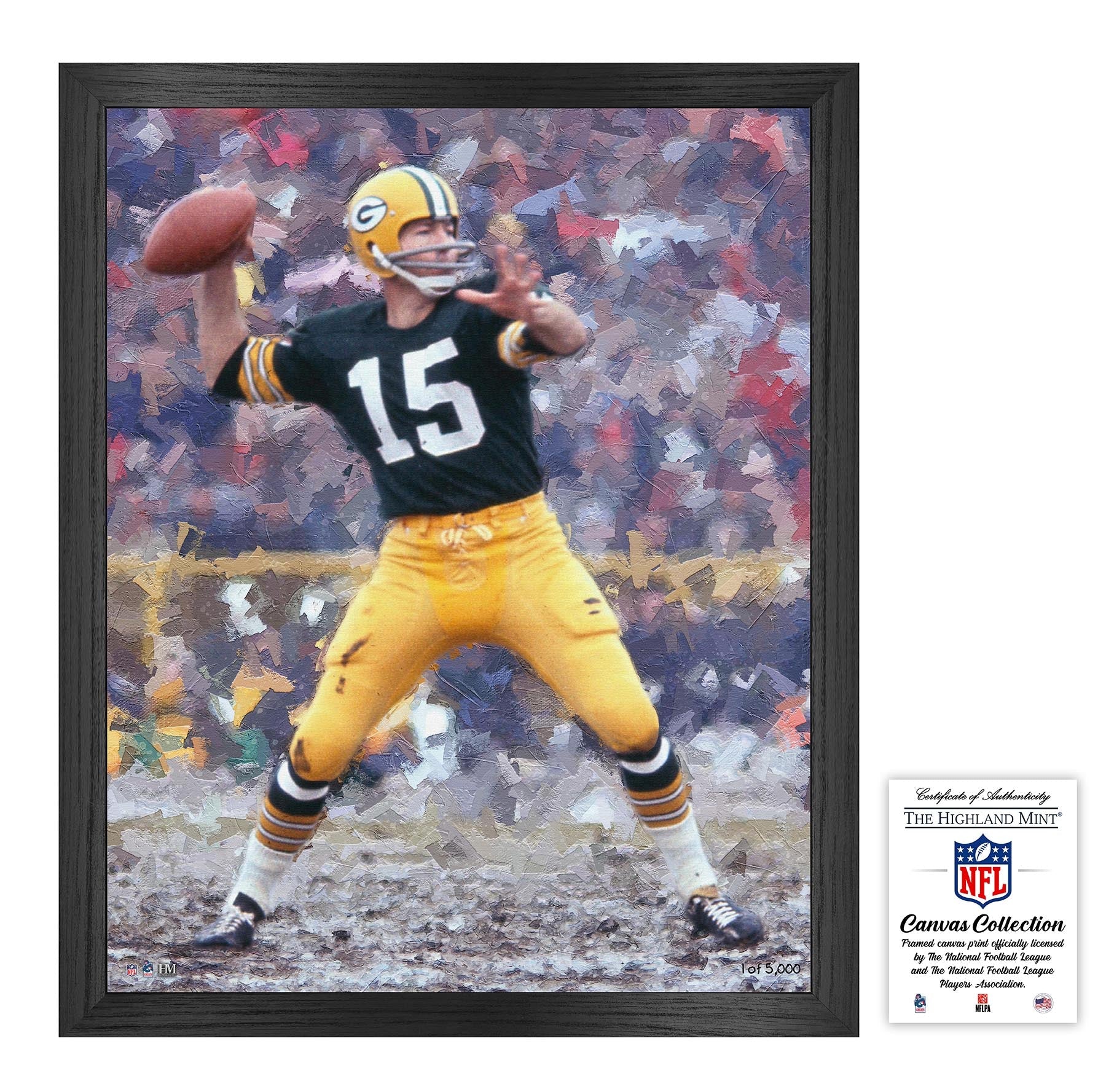 Bart Starr Framed Canvas