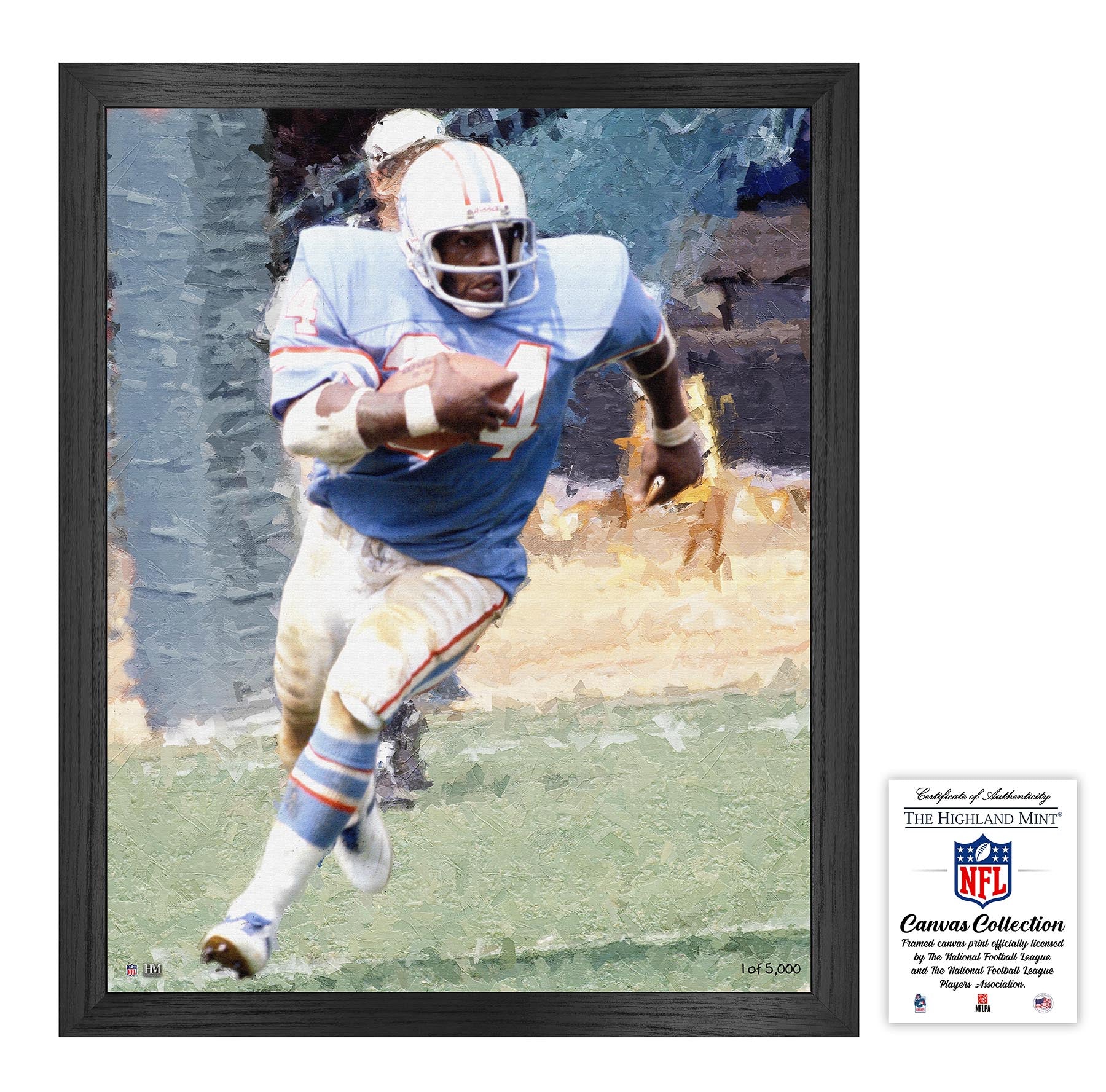 Earl Campbell Framed Canvas