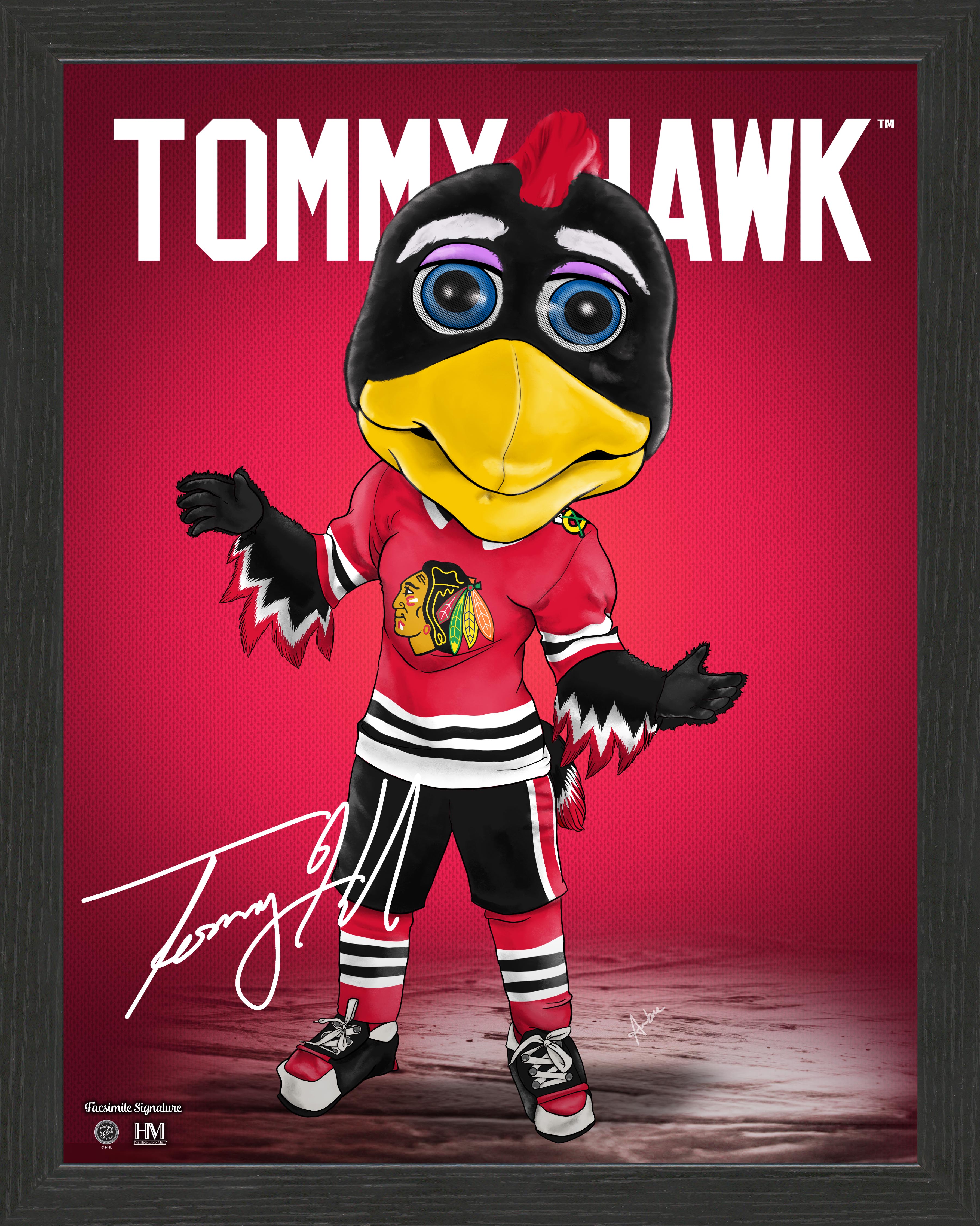 Chicago BlackhawksÃ‚Â Tommy Hawk Framed Dynamo