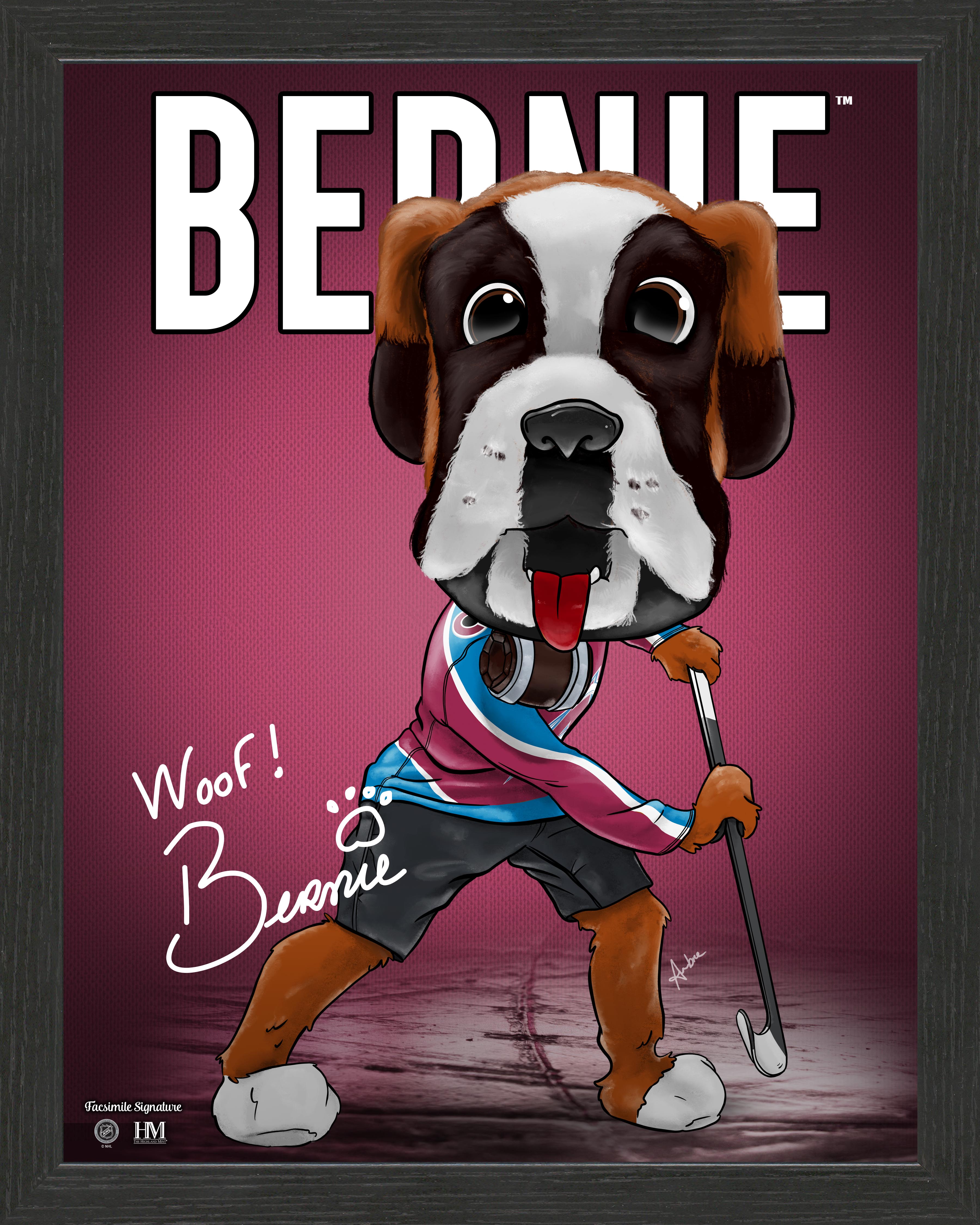 Colorado AvalancheÃ‚Â Bernie Framed Dynamo