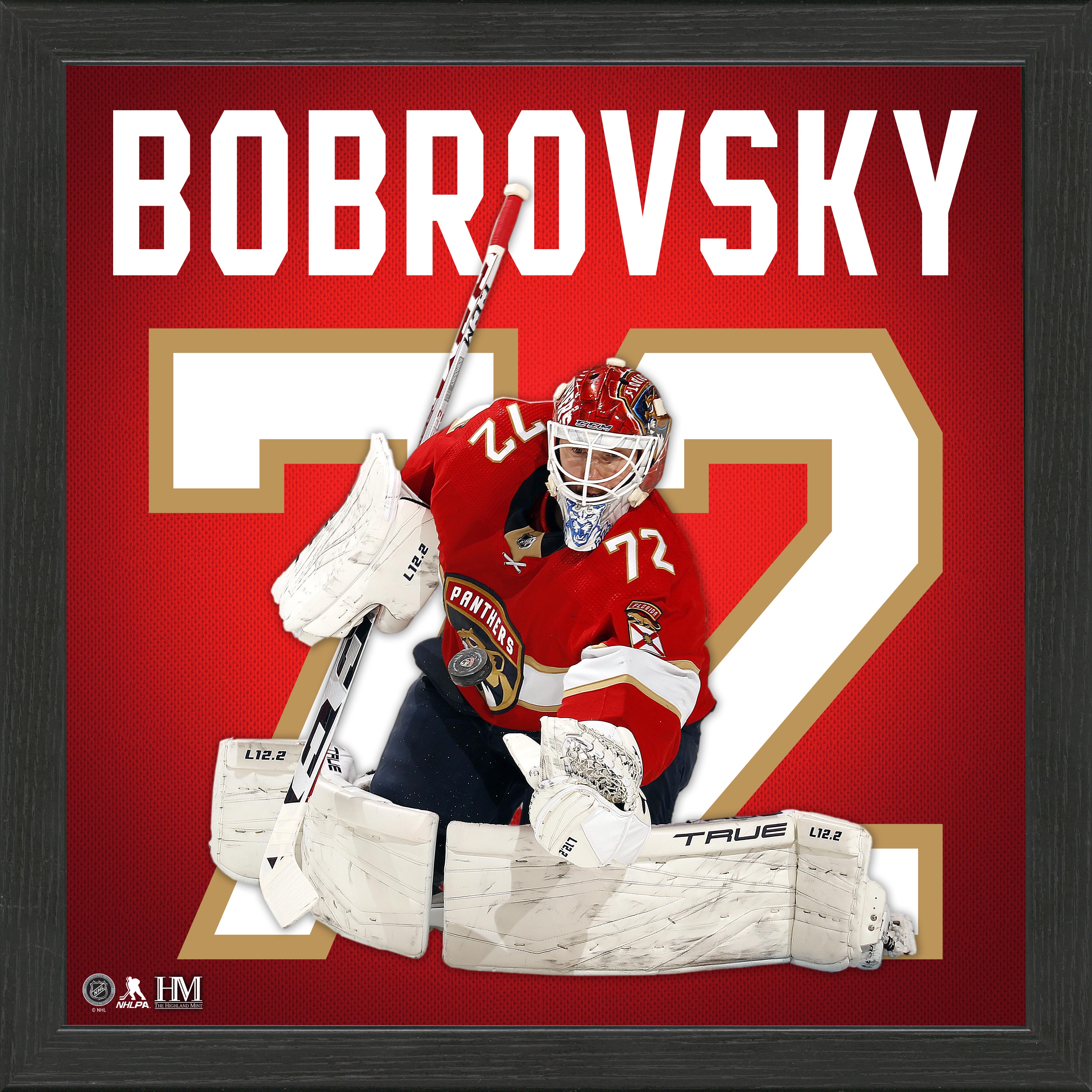 Sergei Bobrovsky Panthers Impact Jersey Frame