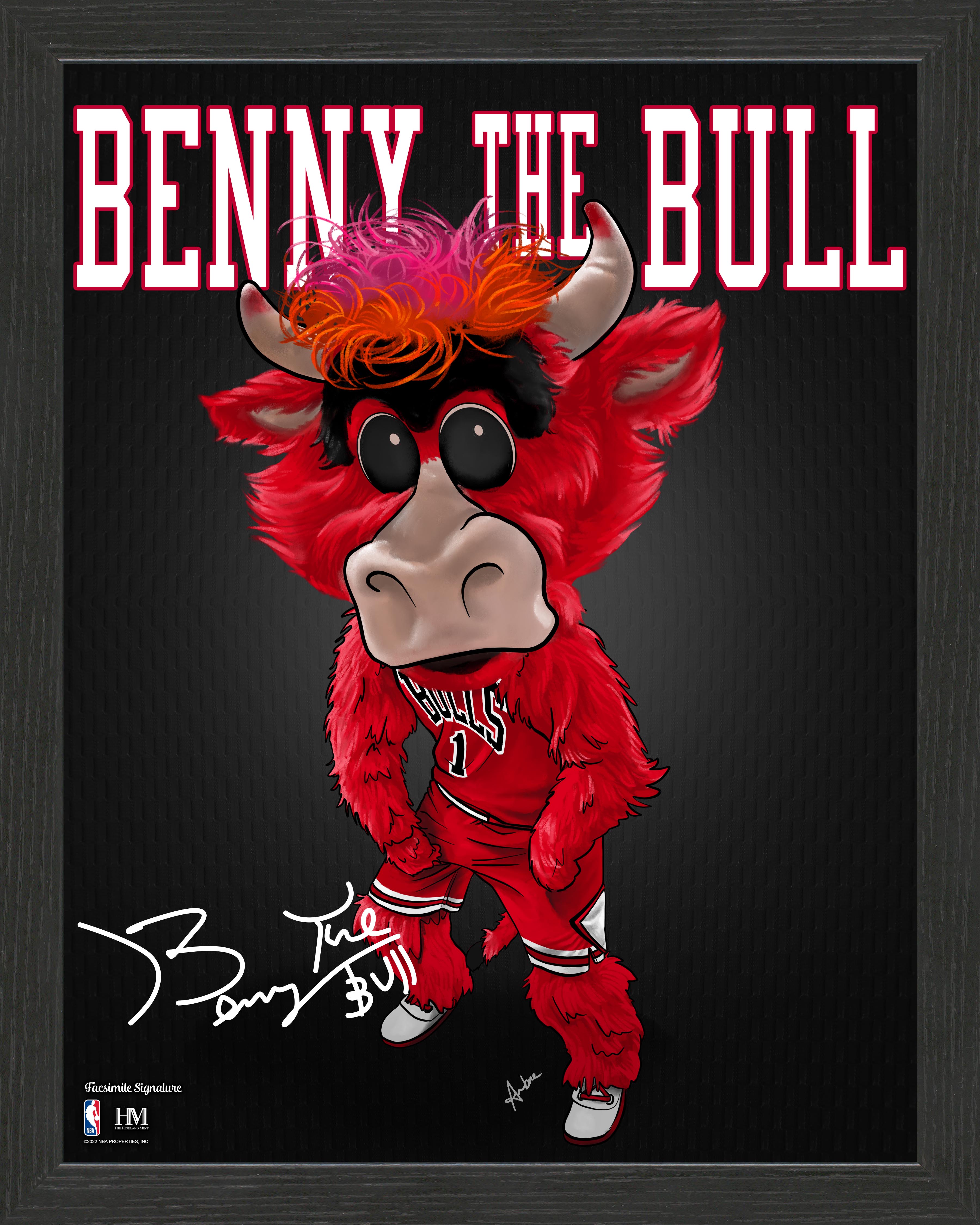 Chicago Bulls Benny the Bull Framed Pro Dynamo
