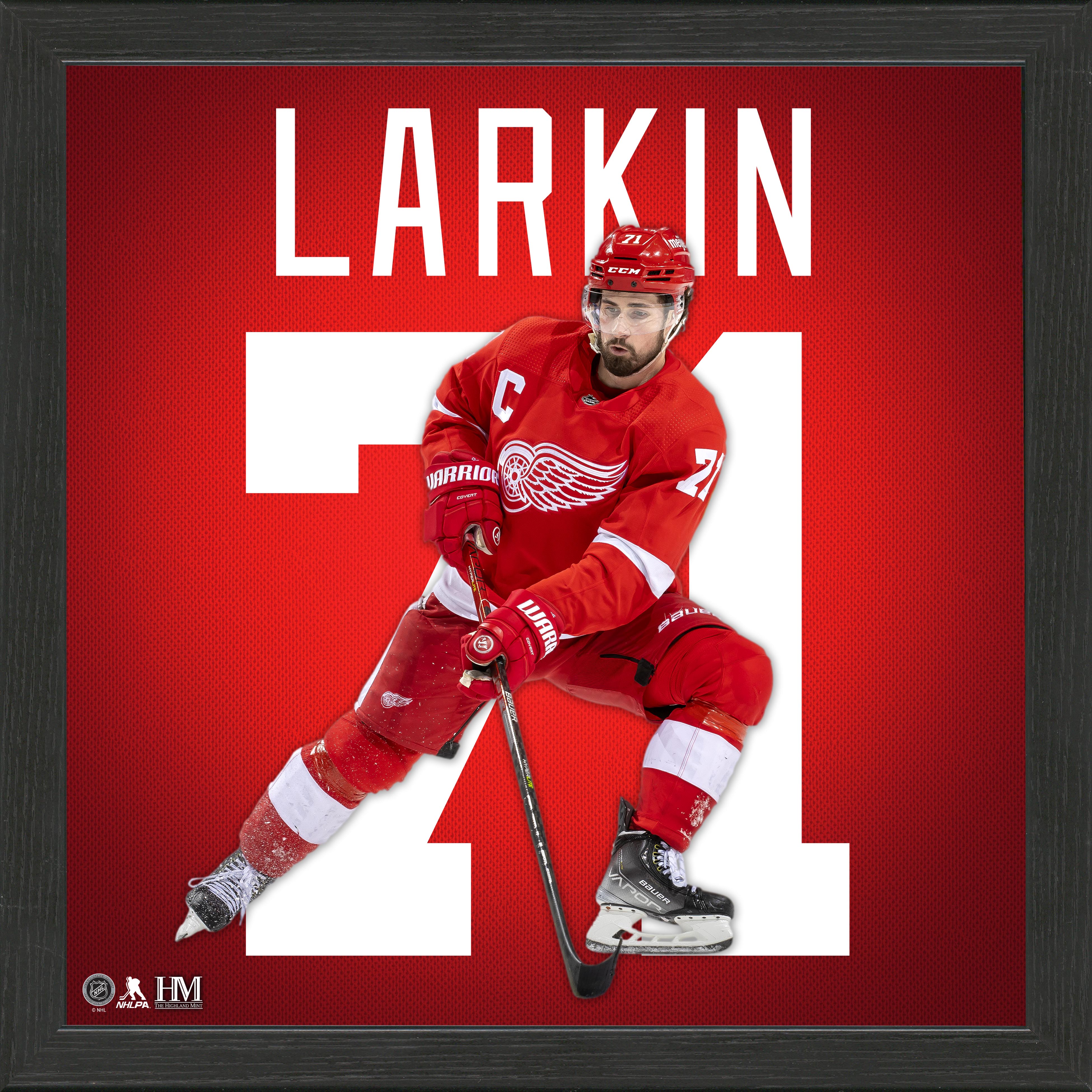 Dylan Larkin Detroit Red Wings IMPACT Jersey Frame