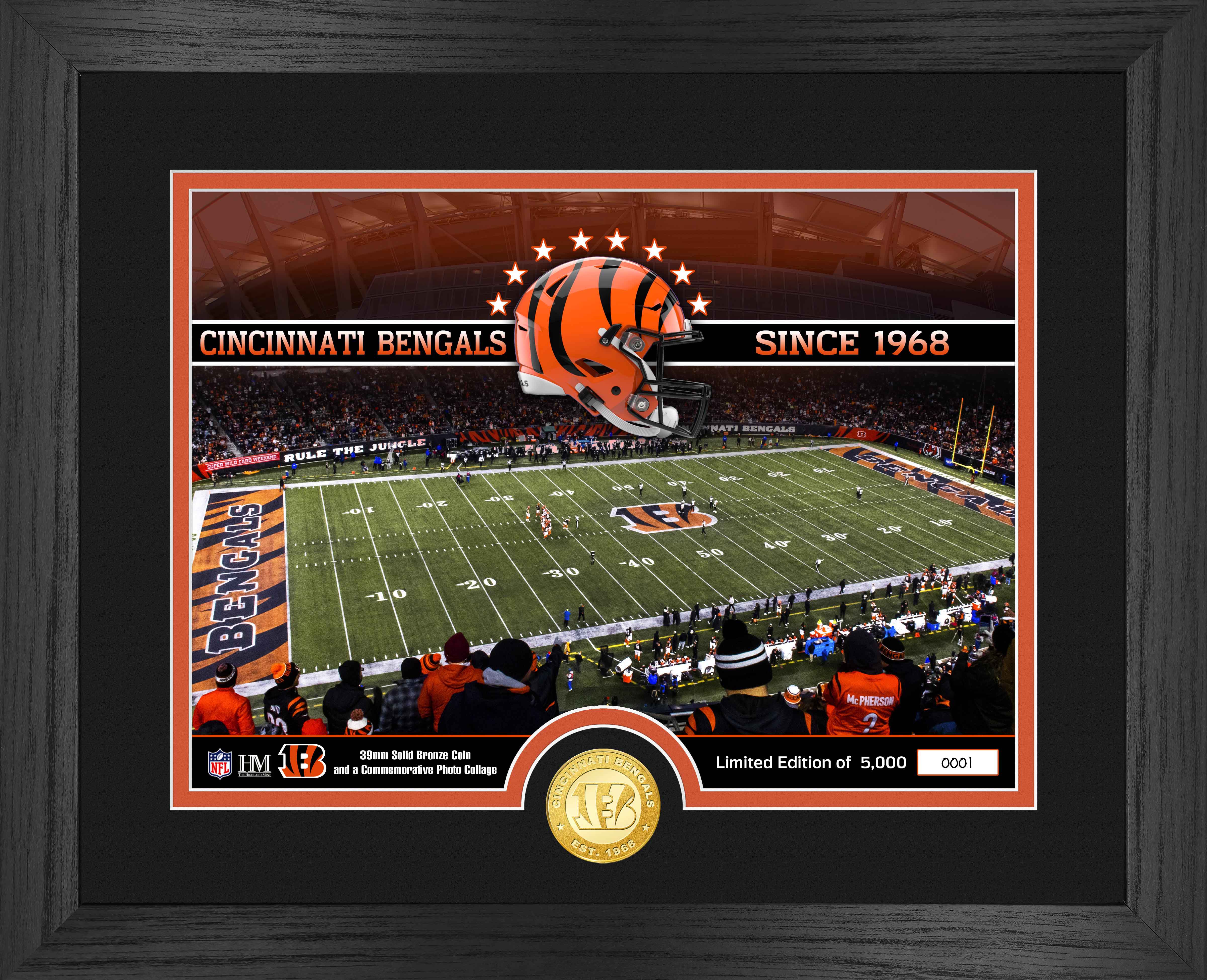 Cincinnati Bengals Stadium Bronze Coin Photo Mint