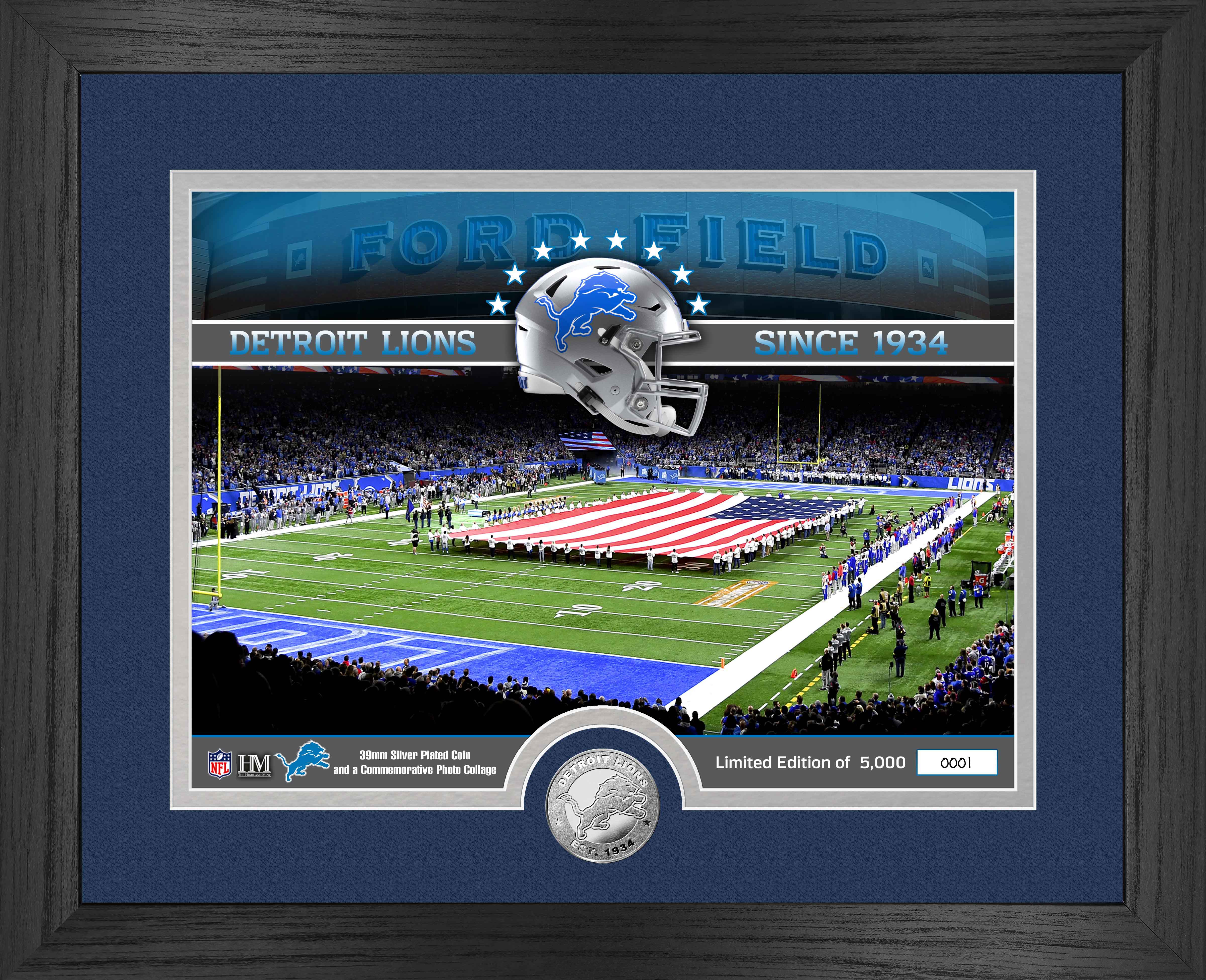 Detroit Lions NFL Stadium Silver Coin Photo Mint