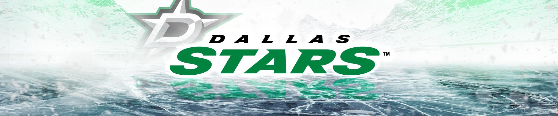Dallas Stars