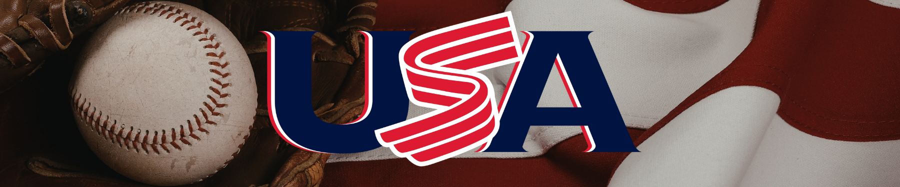 Team USA WBC