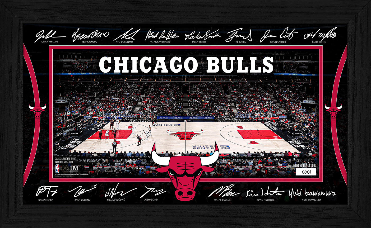 Chicago Bulls 2025 Signature Court 