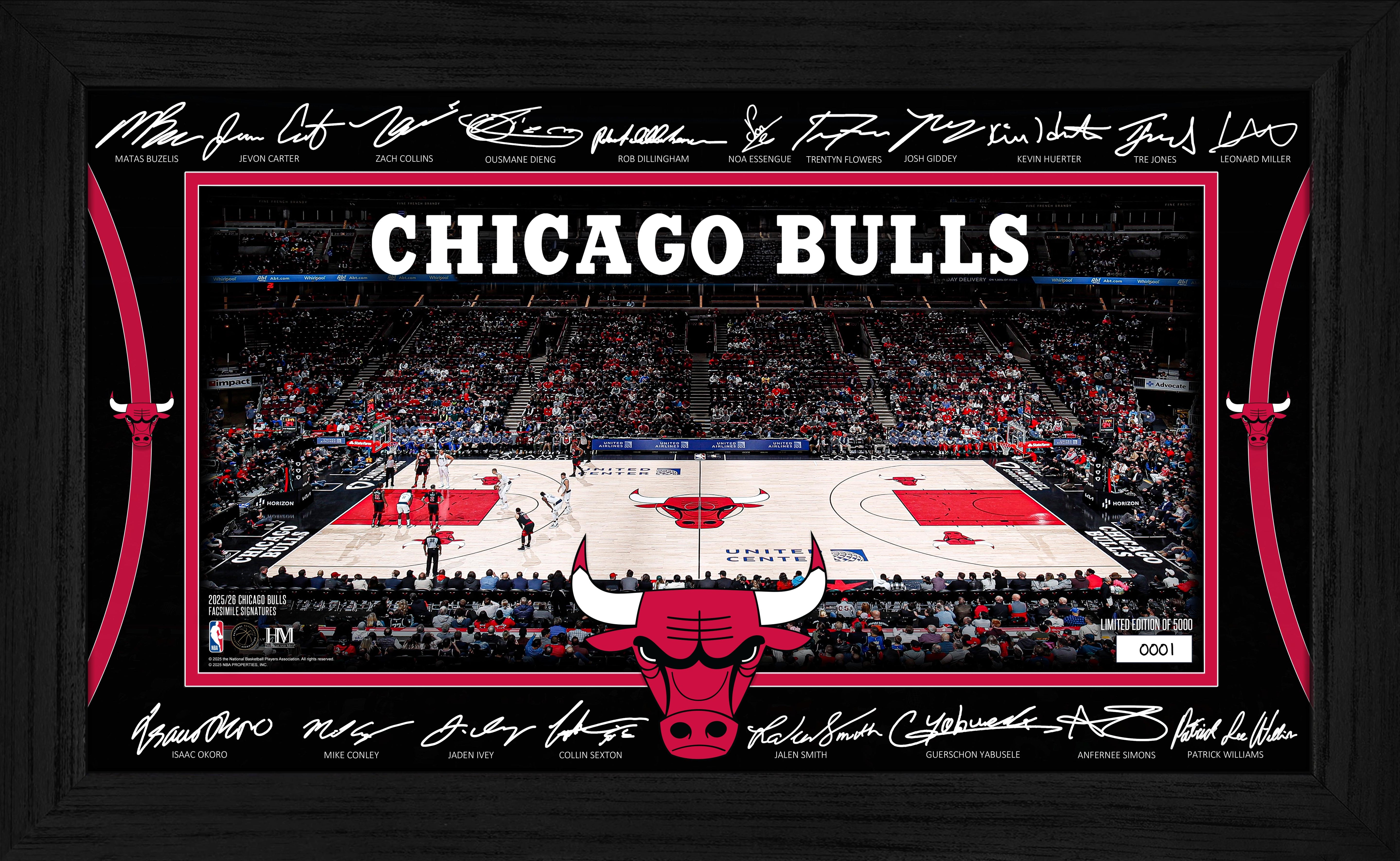 Chicago Bulls 2025 Signature Court