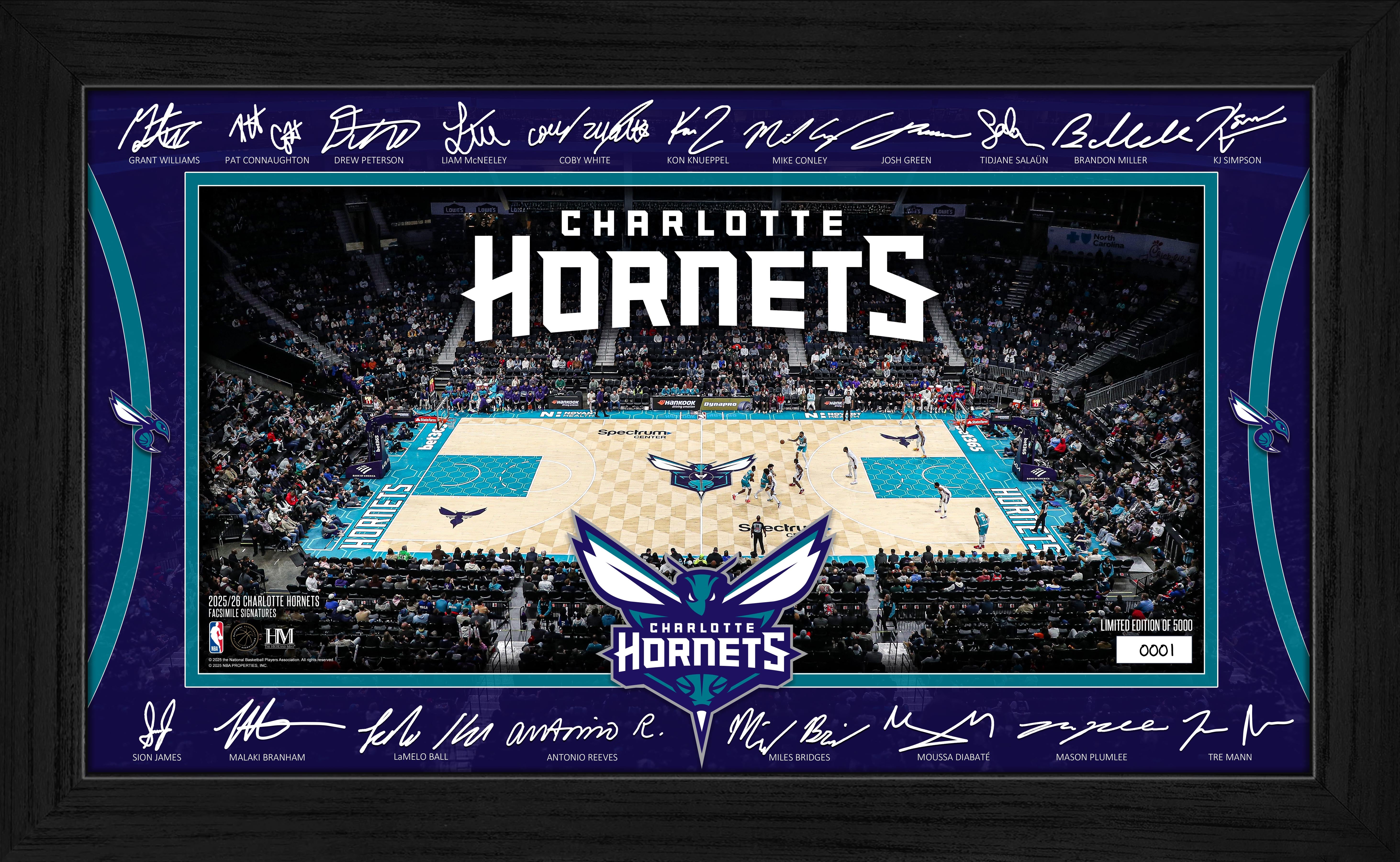 Charlotte Hornets 2025 Signature Court – The Highland Mint