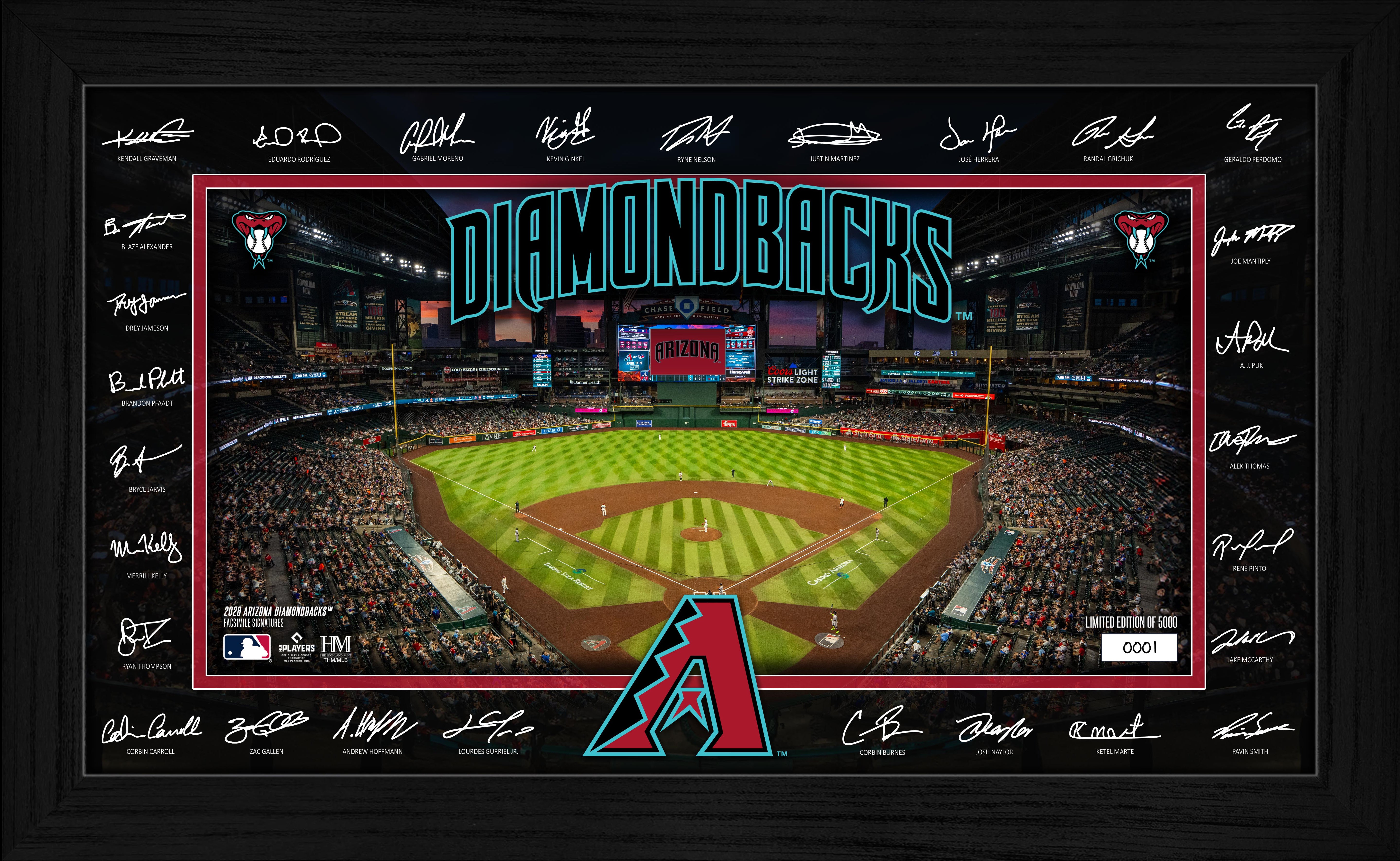 Arizona Diamondbacks 2026 Signature Field Frame