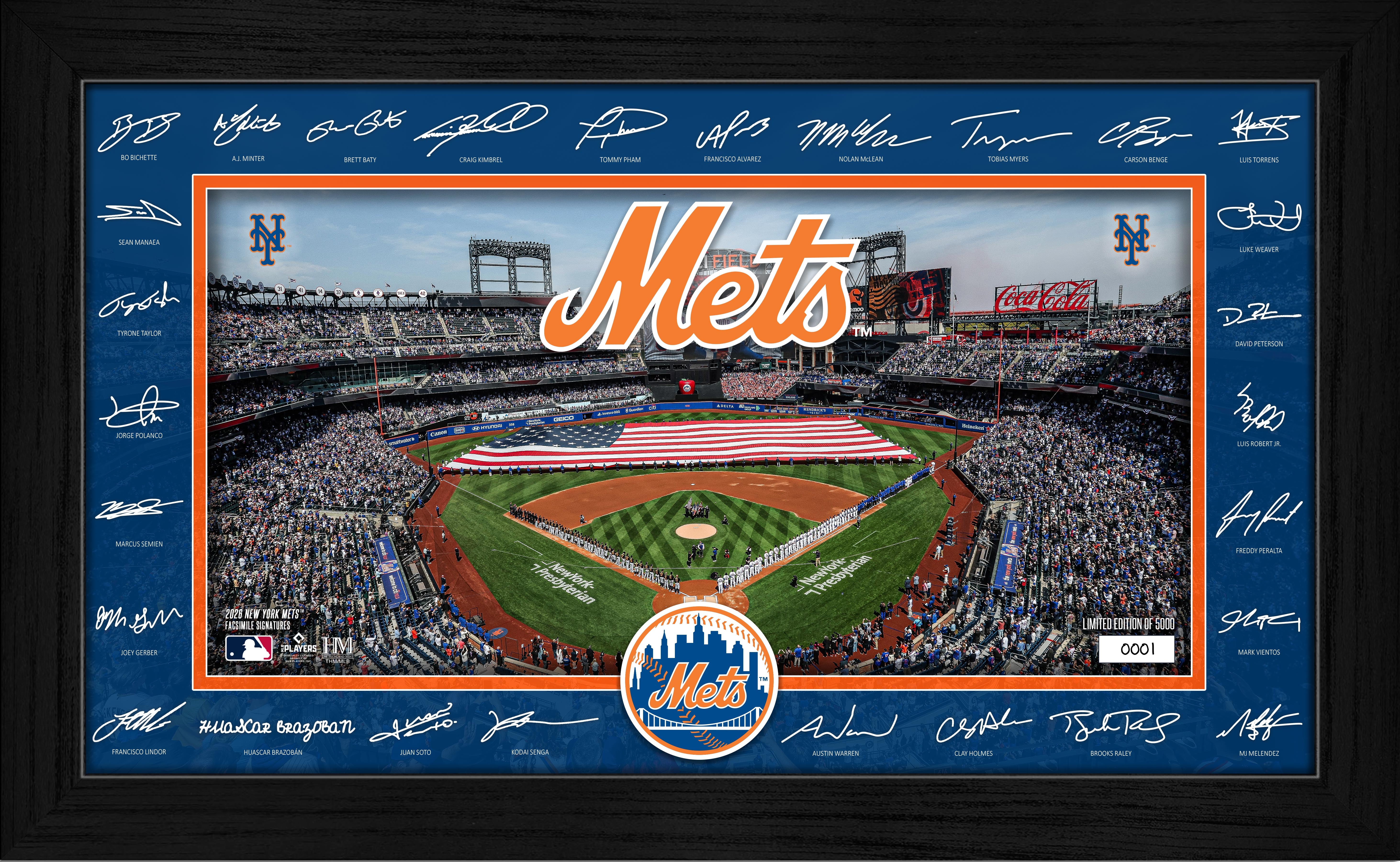 New York Mets 2026 Signature Field Frame
