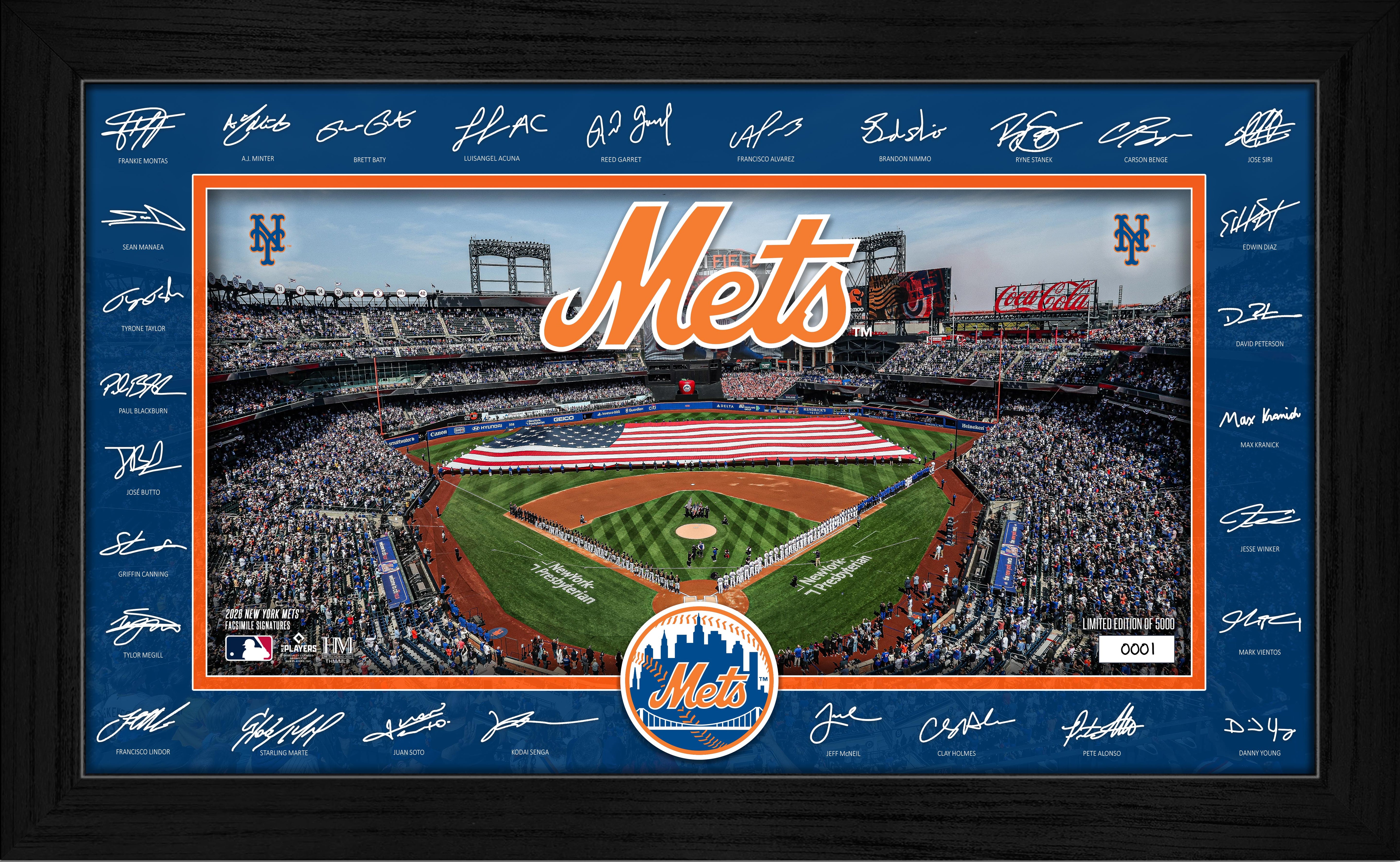 New York Mets 2026 Signature Field Frame