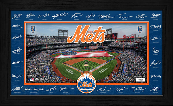 New York Mets 2026 Signature Field Frame