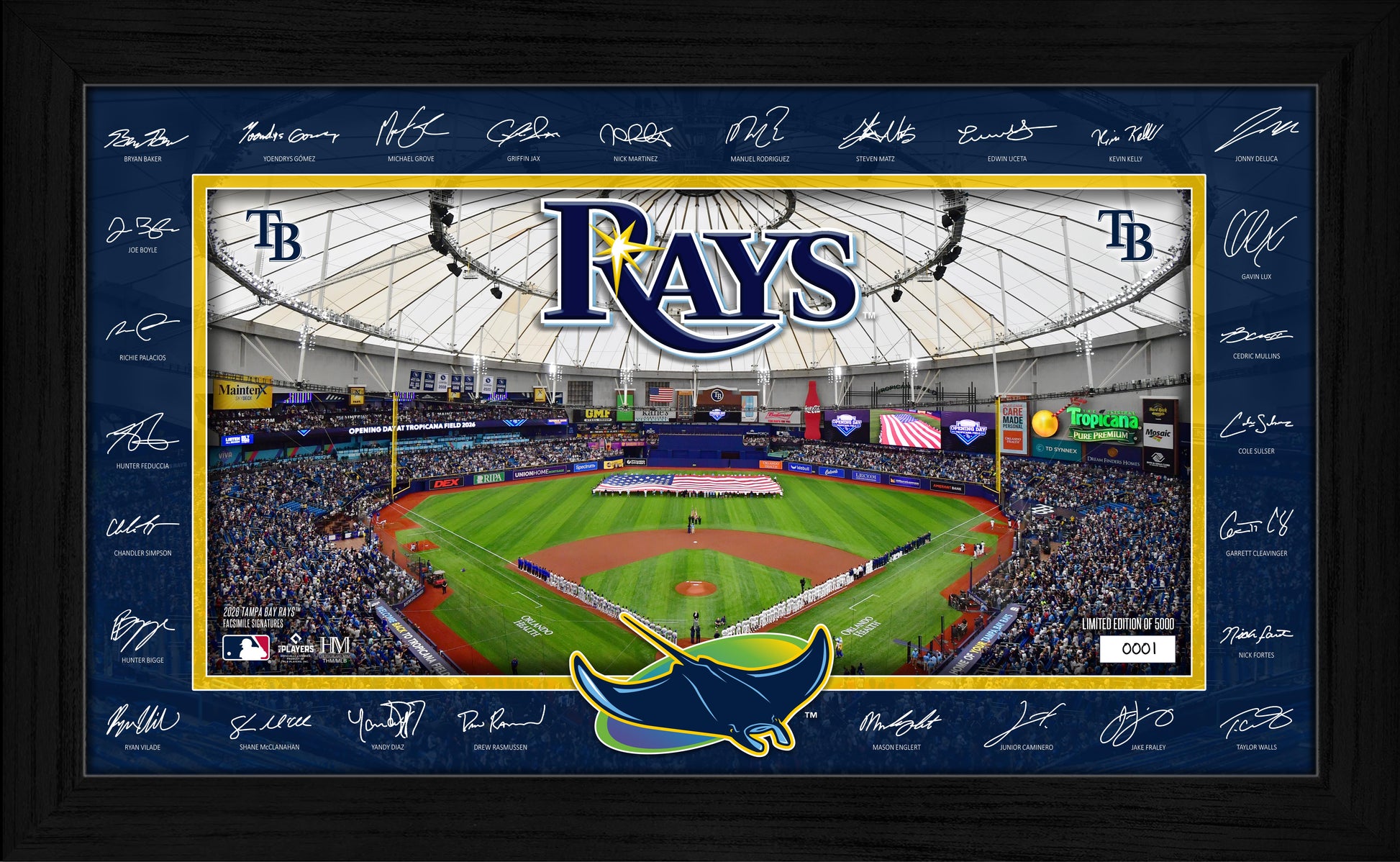 Tampa Bay Rays 2026 Signature Field Frame