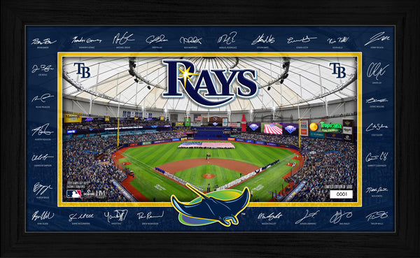 Tampa Bay Rays 2026 Signature Field Frame