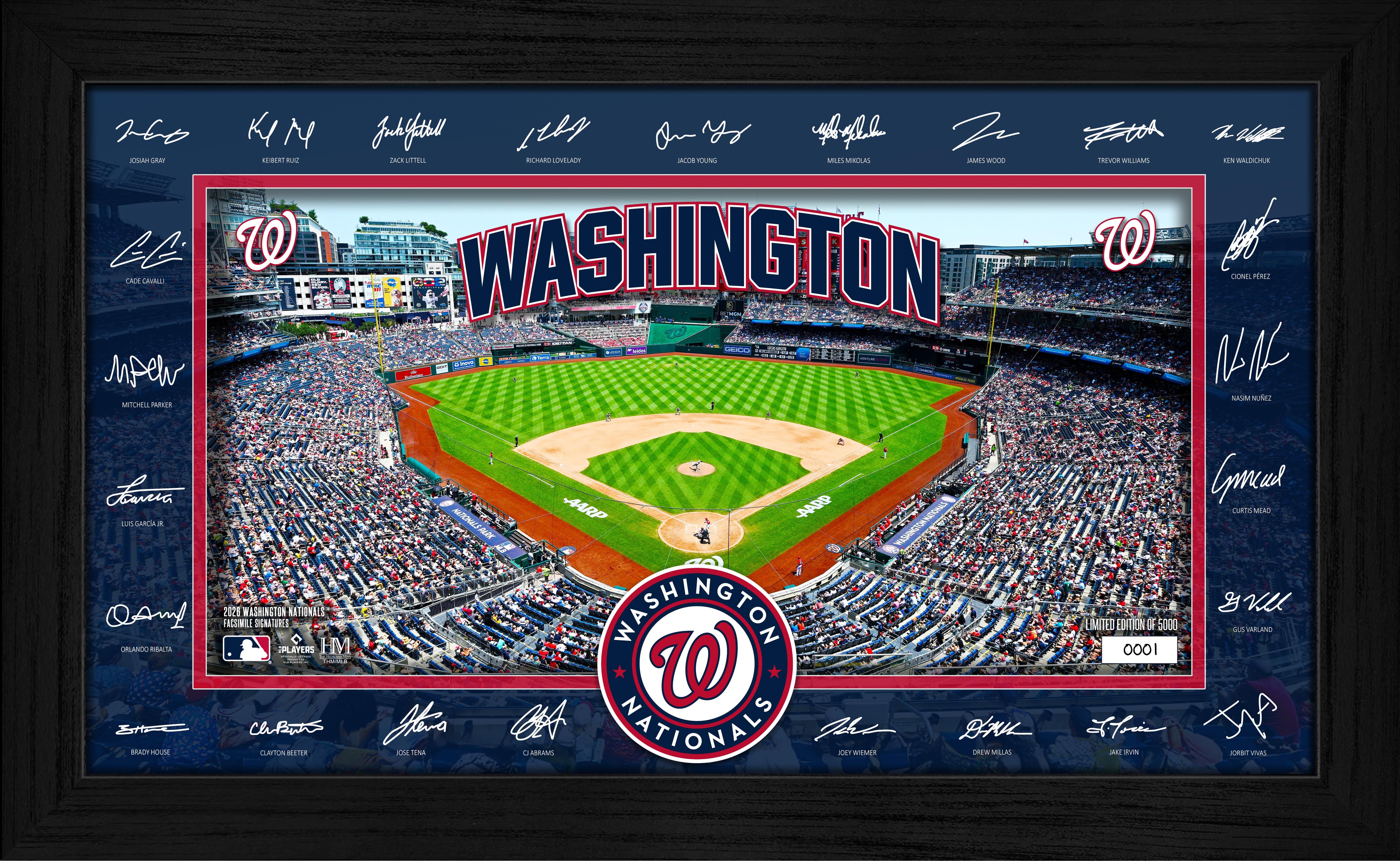 Washington Nationals 2026 Signature Field Frame