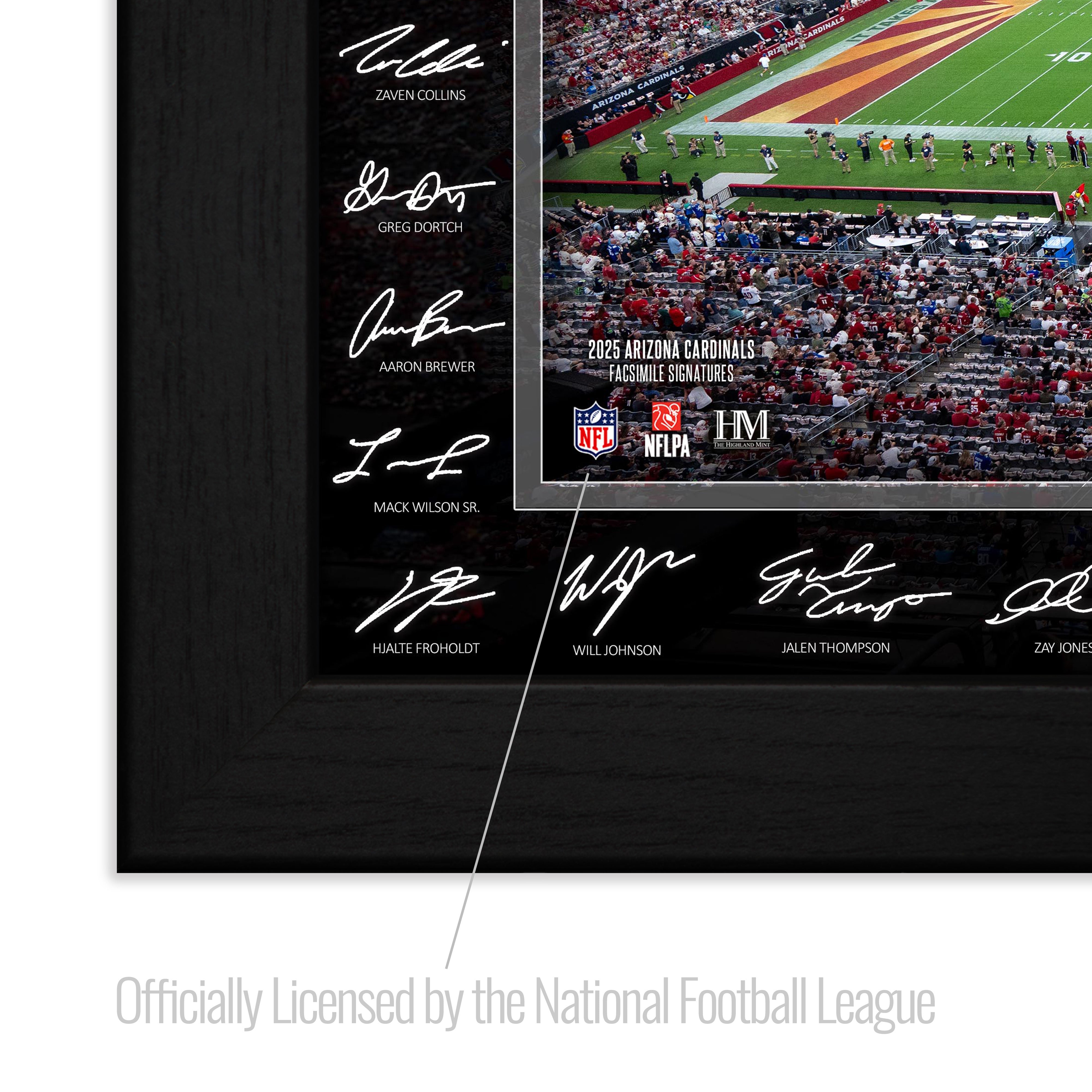 Arizona Cardinals 2025 NFL Signature Gridiron