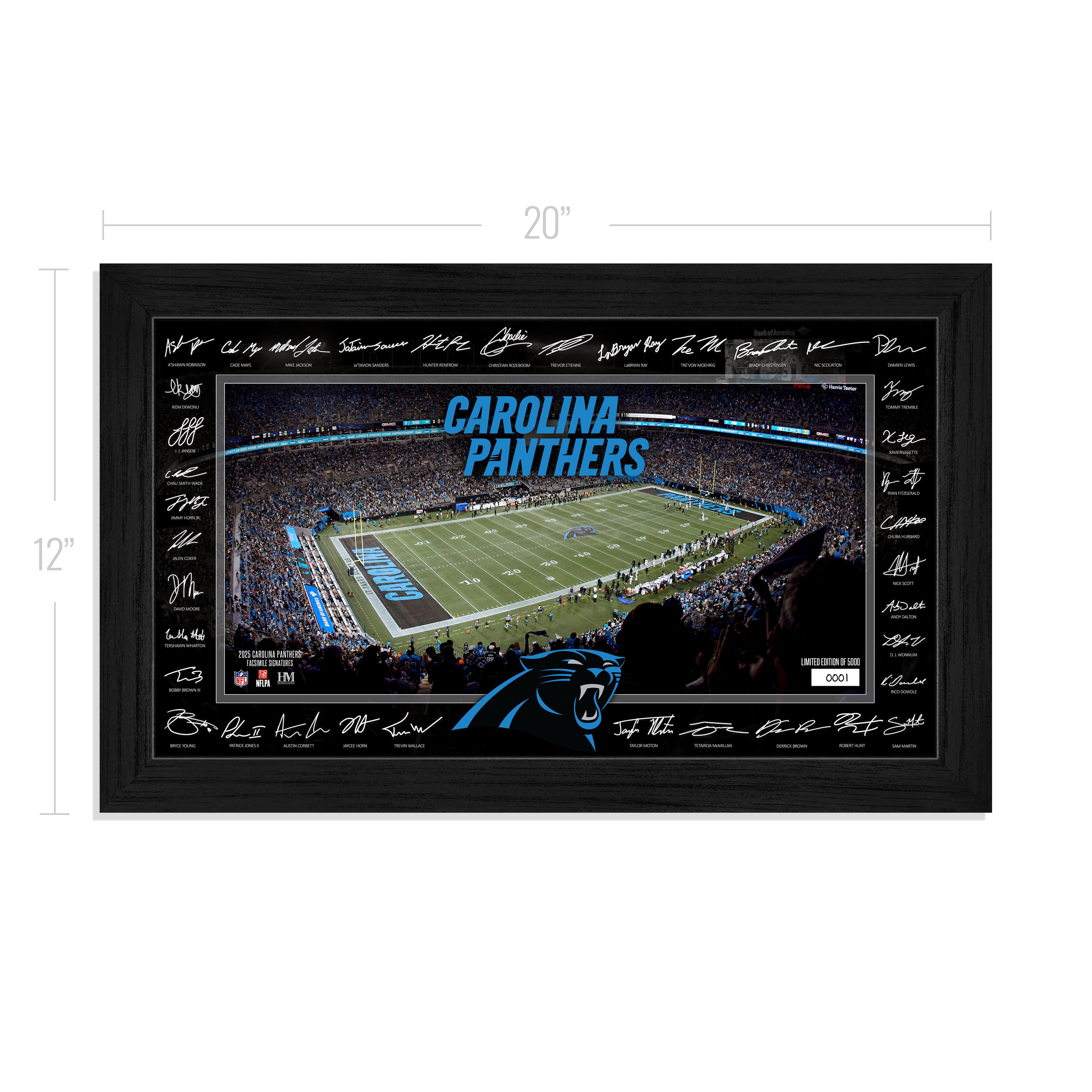 Carolina Panthers 2025 NFL Signature Gridiron – The Highland Mint