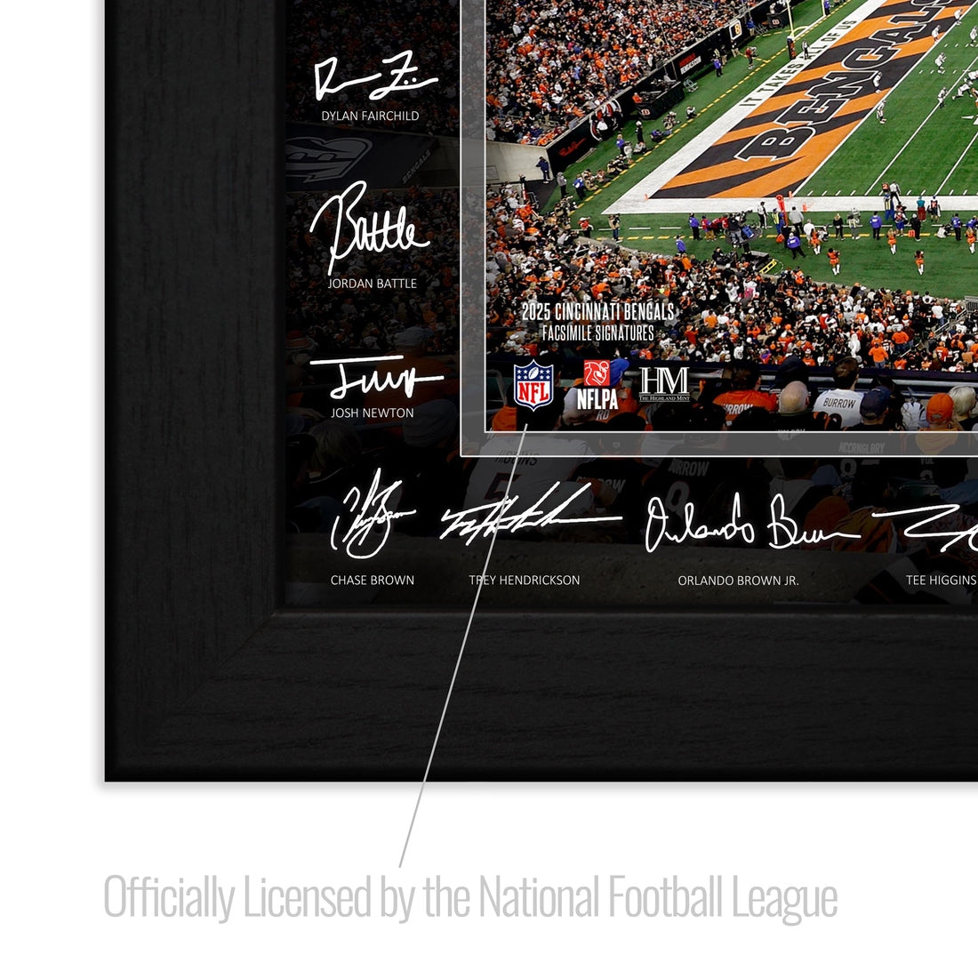 Cincinnati Bengals 2025 NFL Signature Gridiron