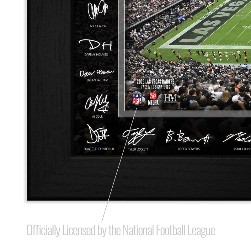 Las Vegas Raiders 2025 NFL Signature Gridiron