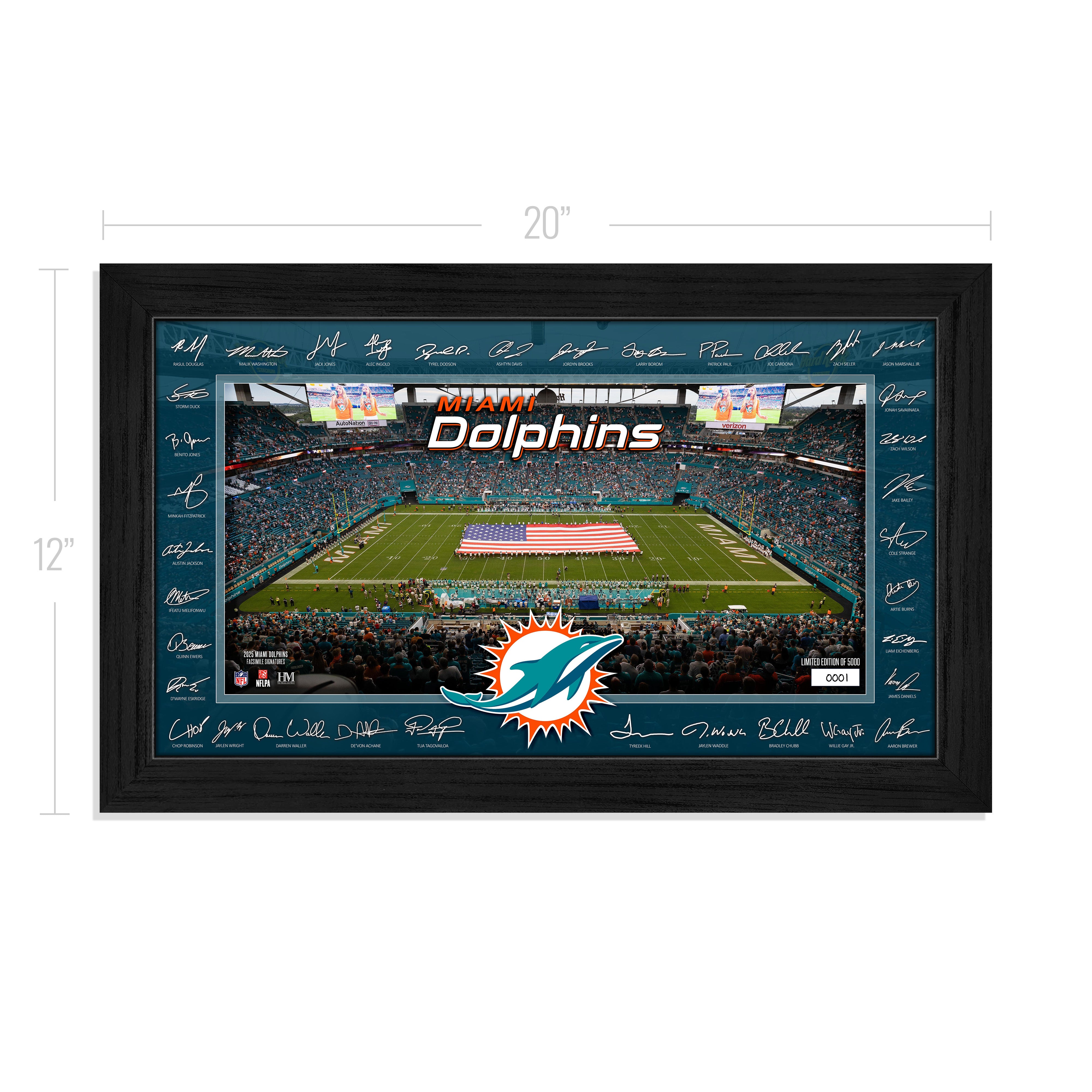 Miami Dolphins 2025 NFL Signature Gridiron – The Highland Mint
