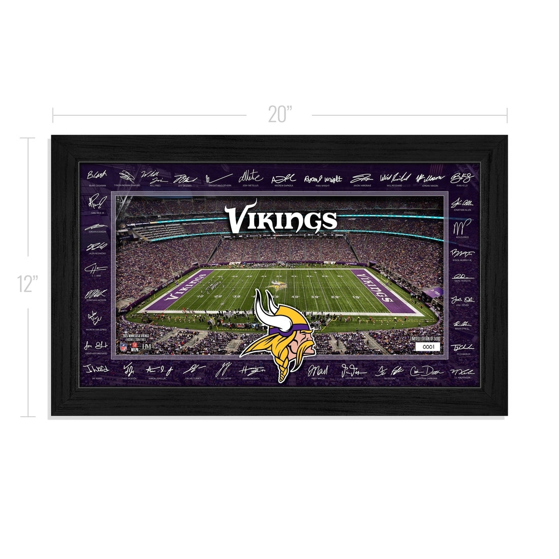 Minnesota Vikings 2025 NFL Signature Gridiron