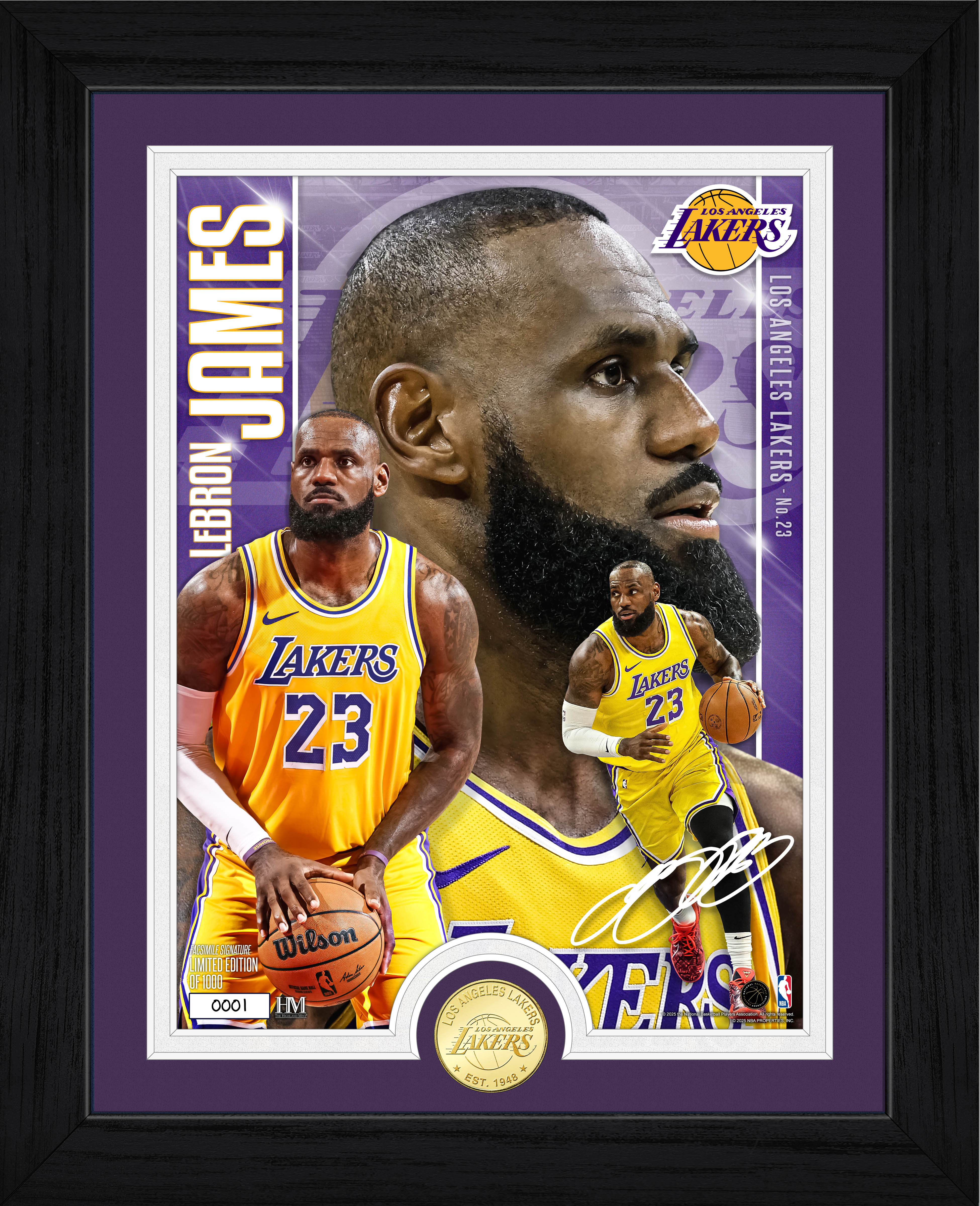 Lebron James Los Angeles Lakers Bronze Coin Artist Proof Photo Mint