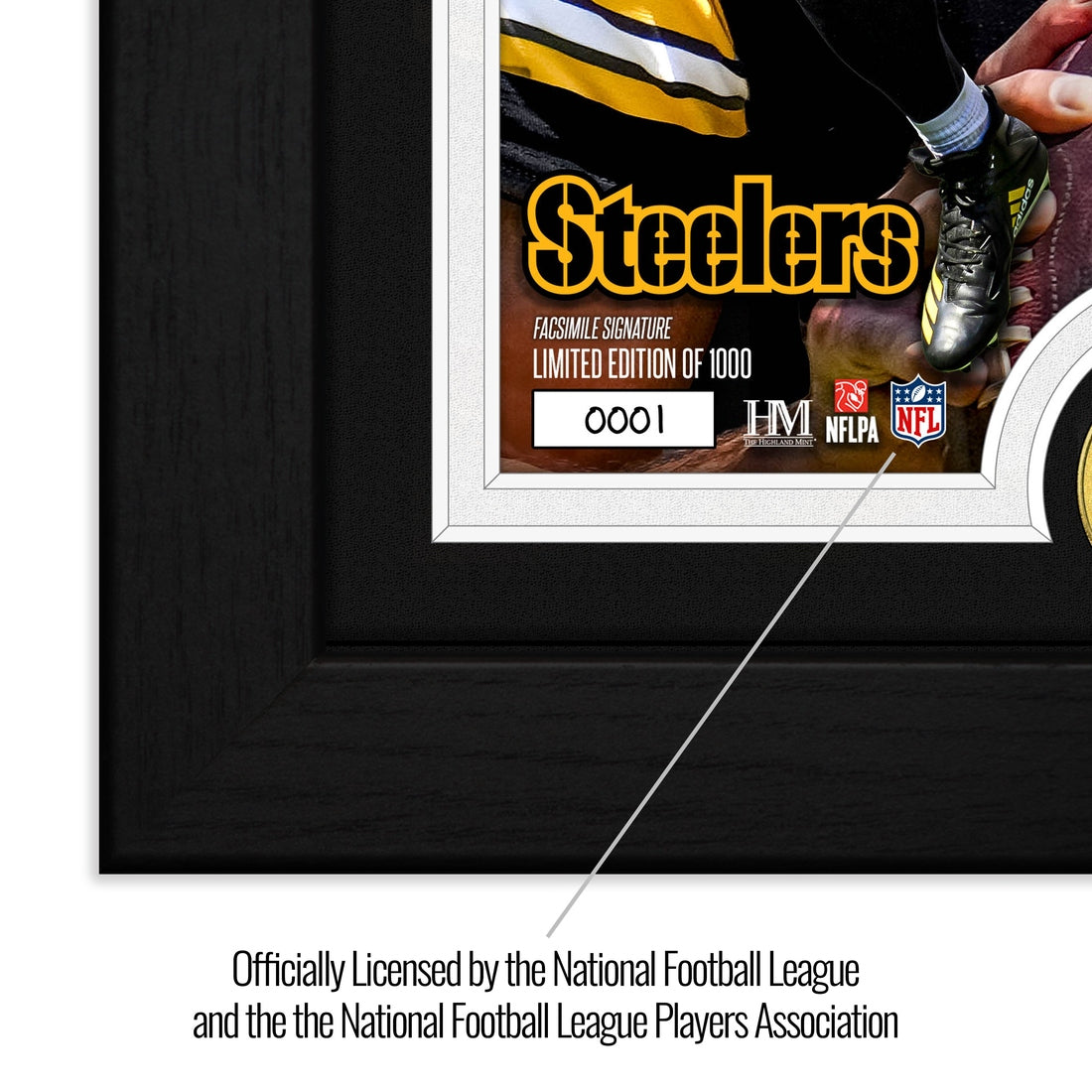 Aaron Rodgers Artist Proof Bronze Coin Photo Mint