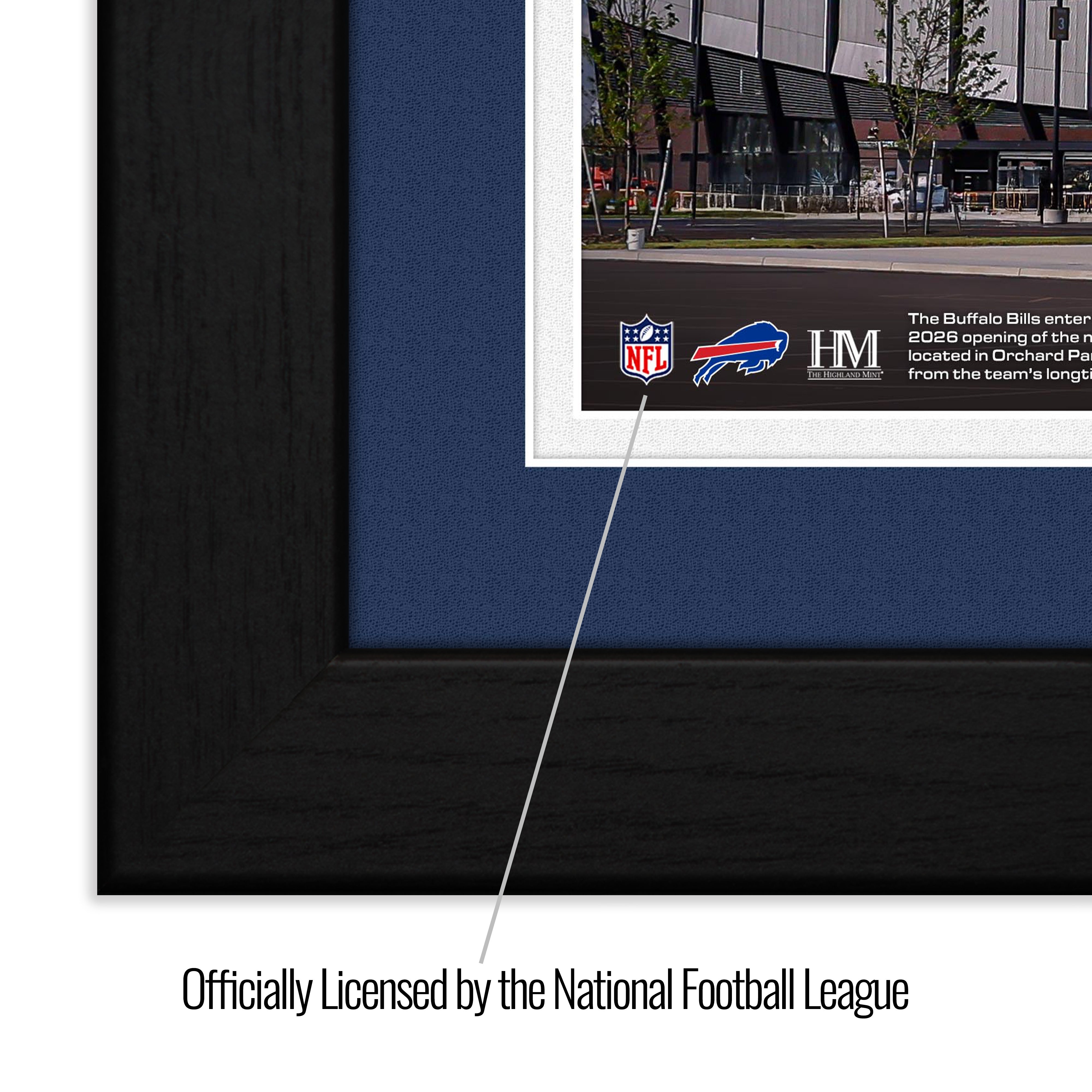 Buffalo Bills Highmark Stadium Inaugural Season Bronze Coin Photo Mint